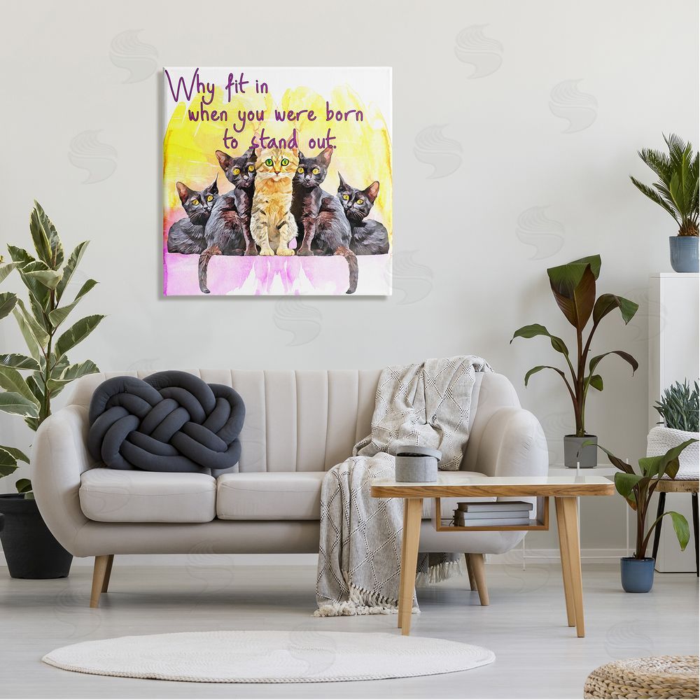 Kim Curinga Born To Stand Out Cats Pet Phrase Canvas Wall Art in Room