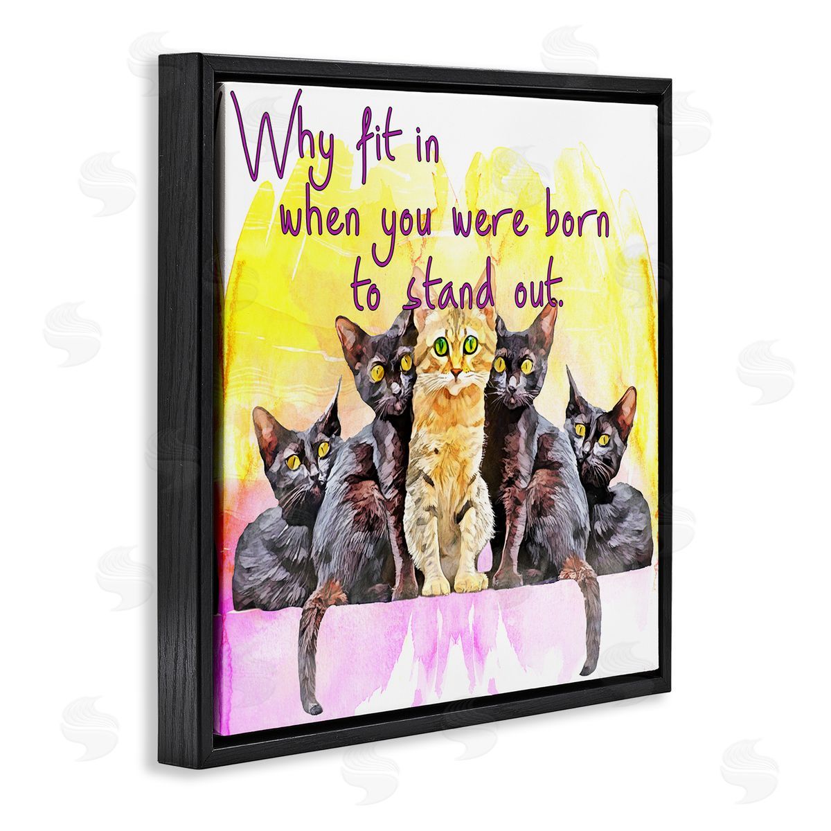 Kim Curinga Born To Stand Out Cats Pet Phrase Black Floating Frame Canvas Wall Art Print
