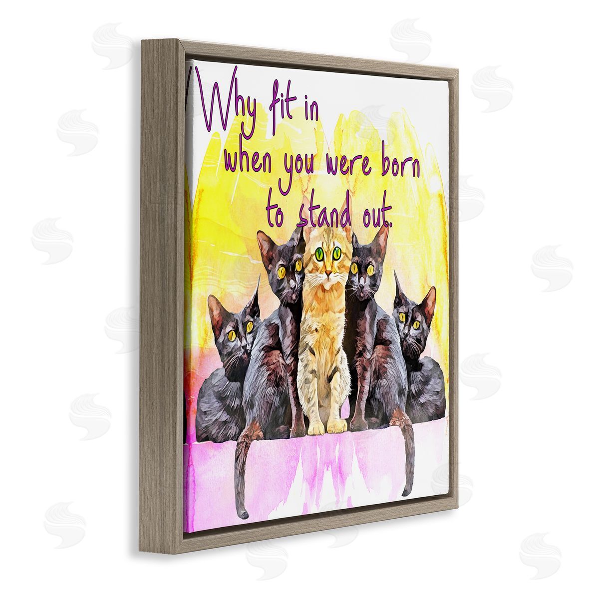 Kim Curinga Born To Stand Out Cats Pet Phrase Brown Floating Frame Canvas Wall Art Print
