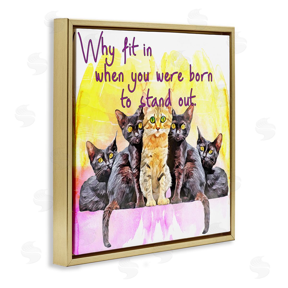 Kim Curinga Born To Stand Out Cats Pet Phrase Gold Floating Frame Canvas Wall Art Print
