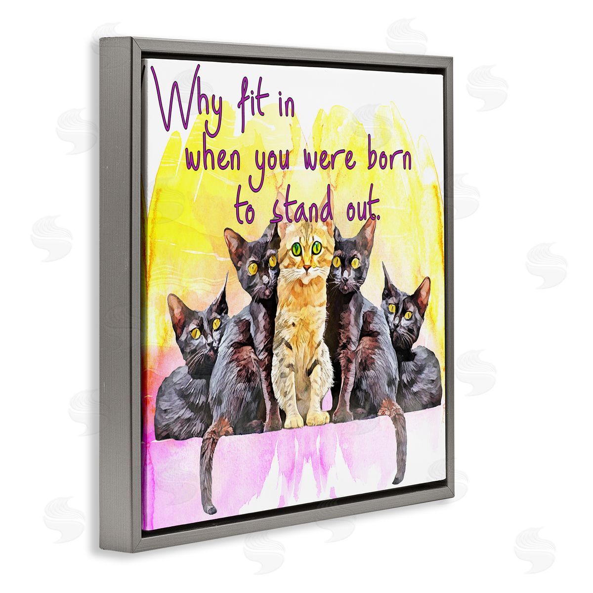 Kim Curinga Born To Stand Out Cats Pet Phrase Gray Floating Frame Canvas Wall Art Print