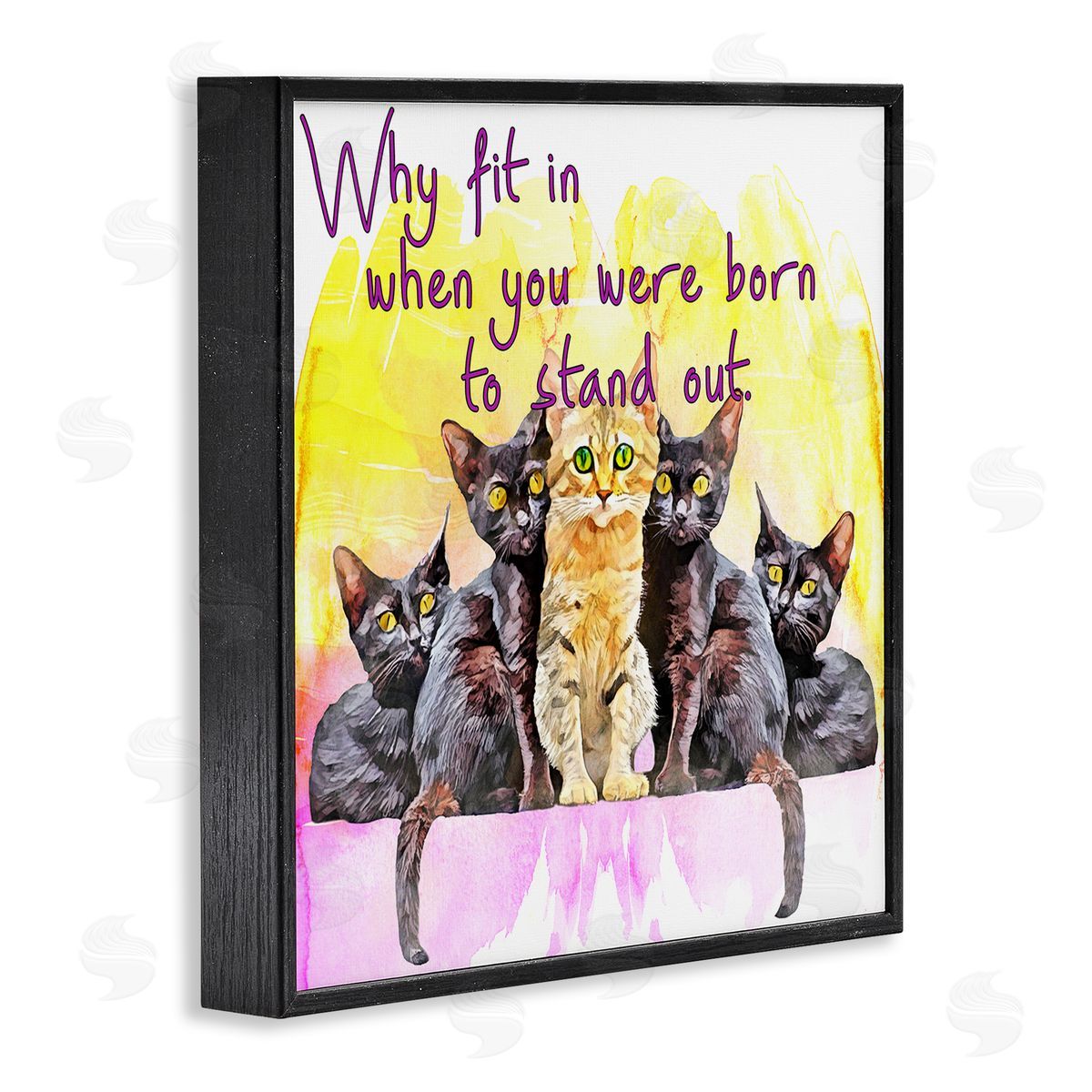 Kim Curinga Born To Stand Out Cats Pet Phrase Black Framed Glicee Wall Art Print