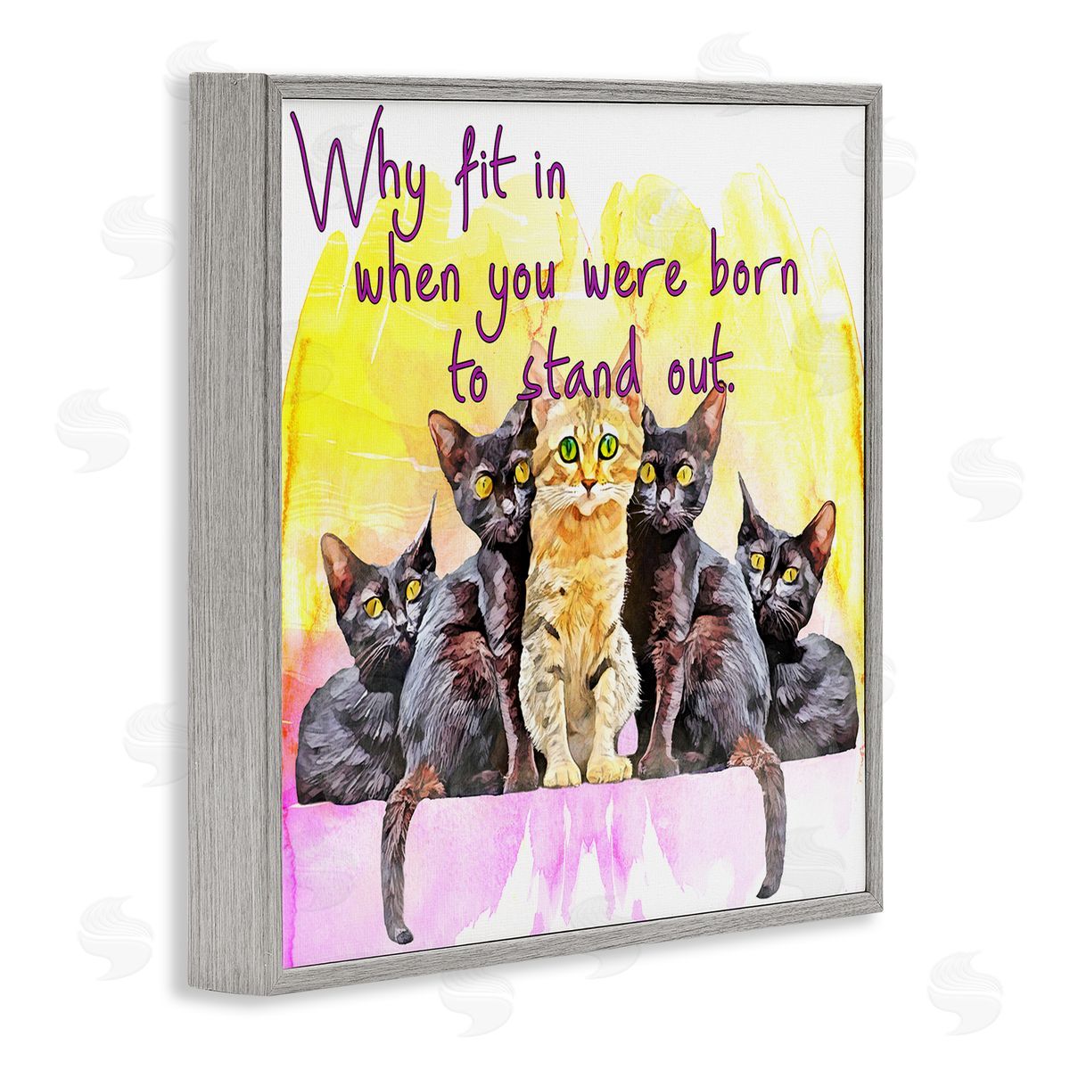 Kim Curinga Born To Stand Out Cats Pet Phrase Gray Framed Glicee Wall Art Print
