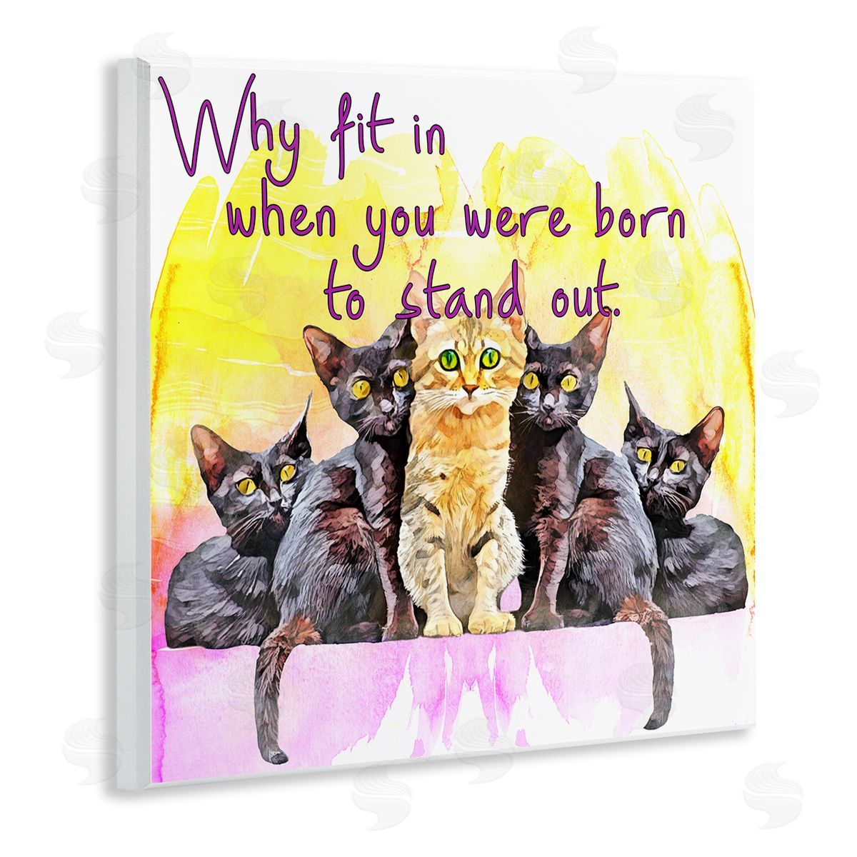 Kim Curinga Born To Stand Out Cats Pet Phrase Wooden Wall Plaque Art Print