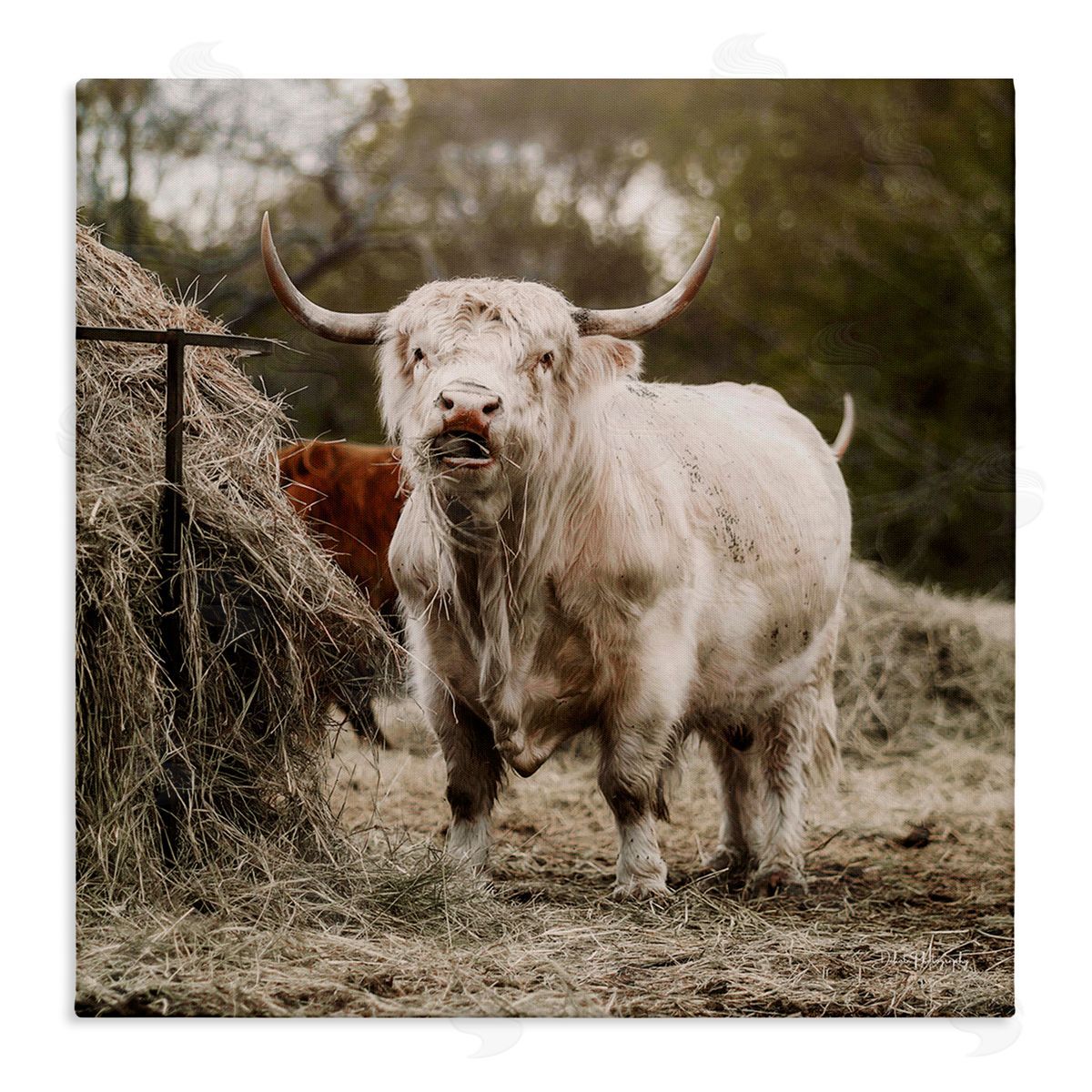 Dakota Diener Grazing Cattle Hay Bale Farm Stretched Canvas Wall Art Print