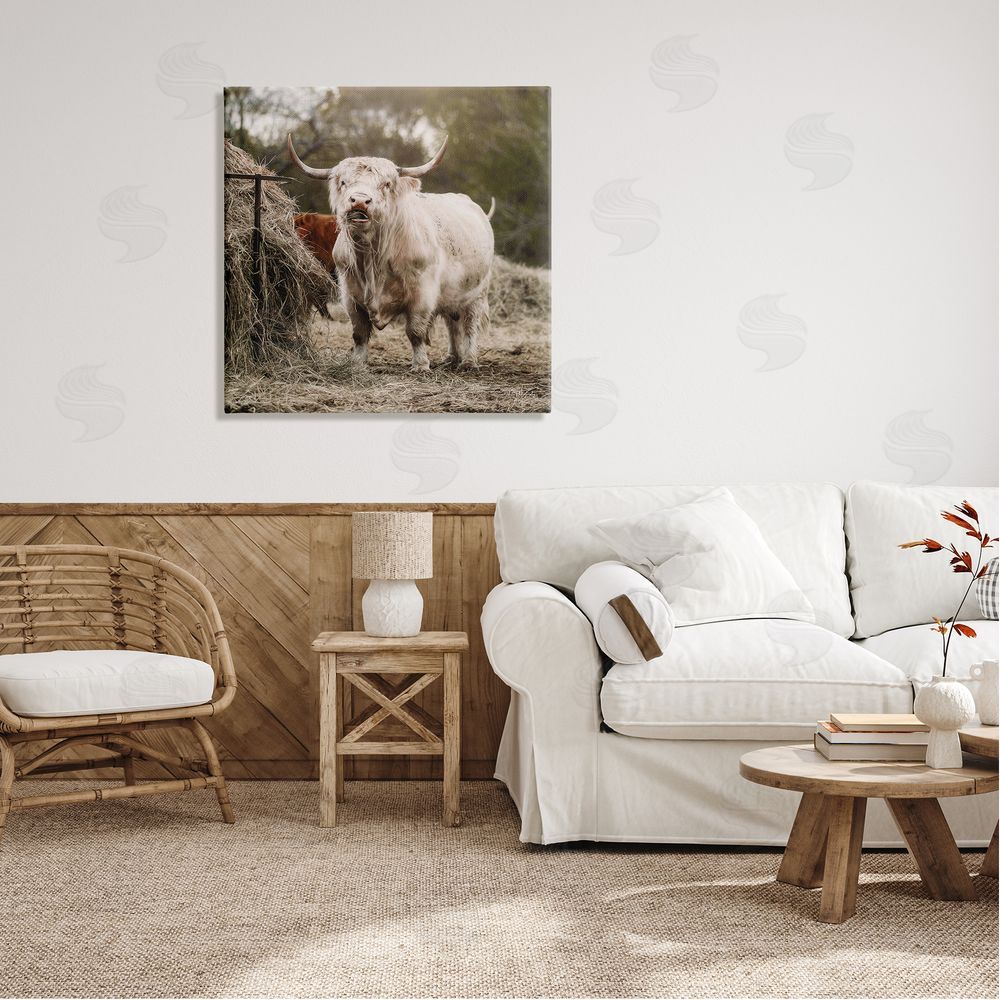 Dakota Diener Grazing Cattle Hay Bale Farm Canvas Wall Art in Room