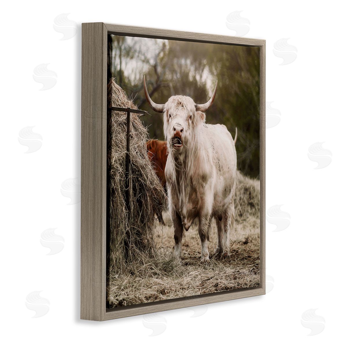 Dakota Diener Grazing Cattle Hay Bale Farm Brown Floating Frame Canvas Wall Art Print