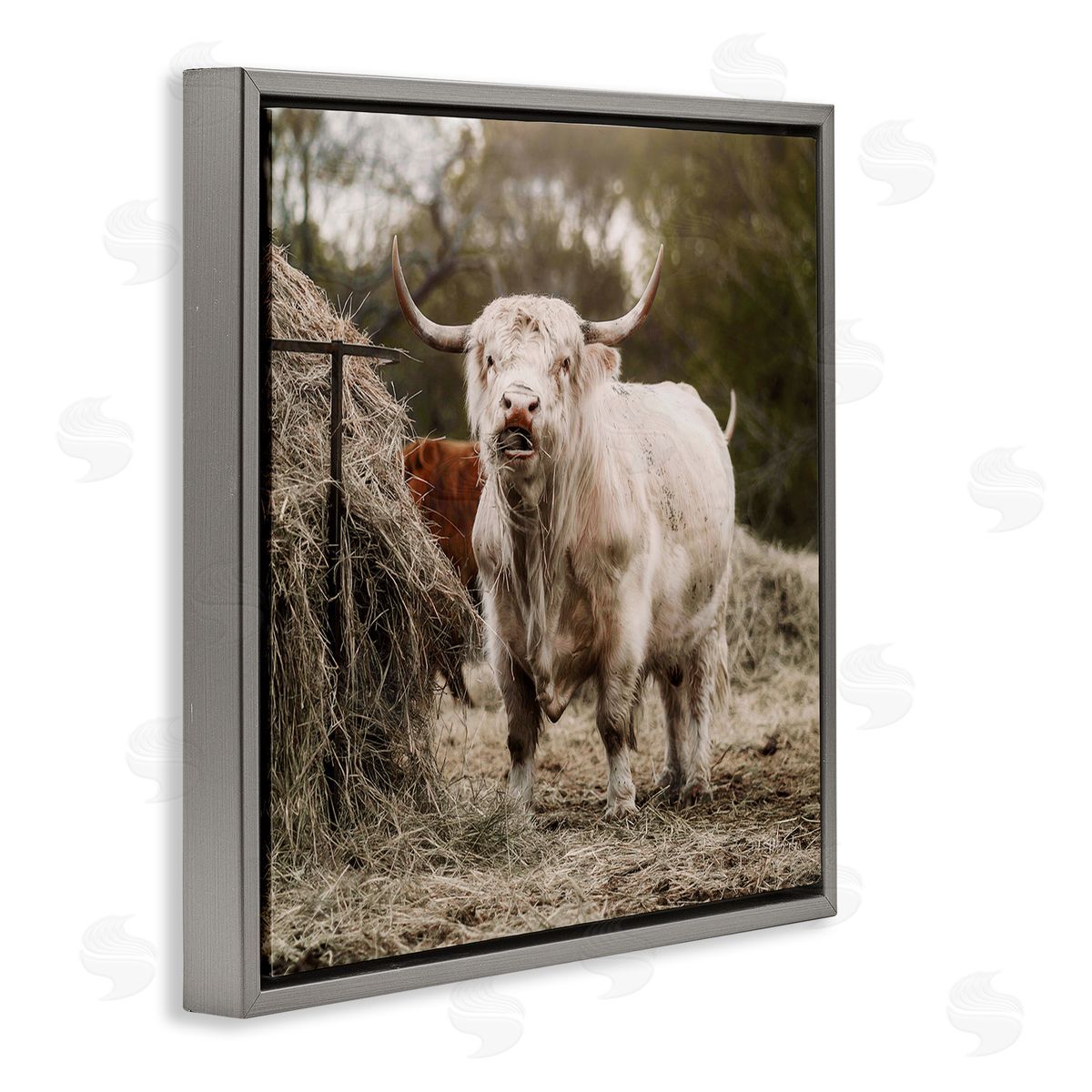 Dakota Diener Grazing Cattle Hay Bale Farm Gray Floating Frame Canvas Wall Art Print