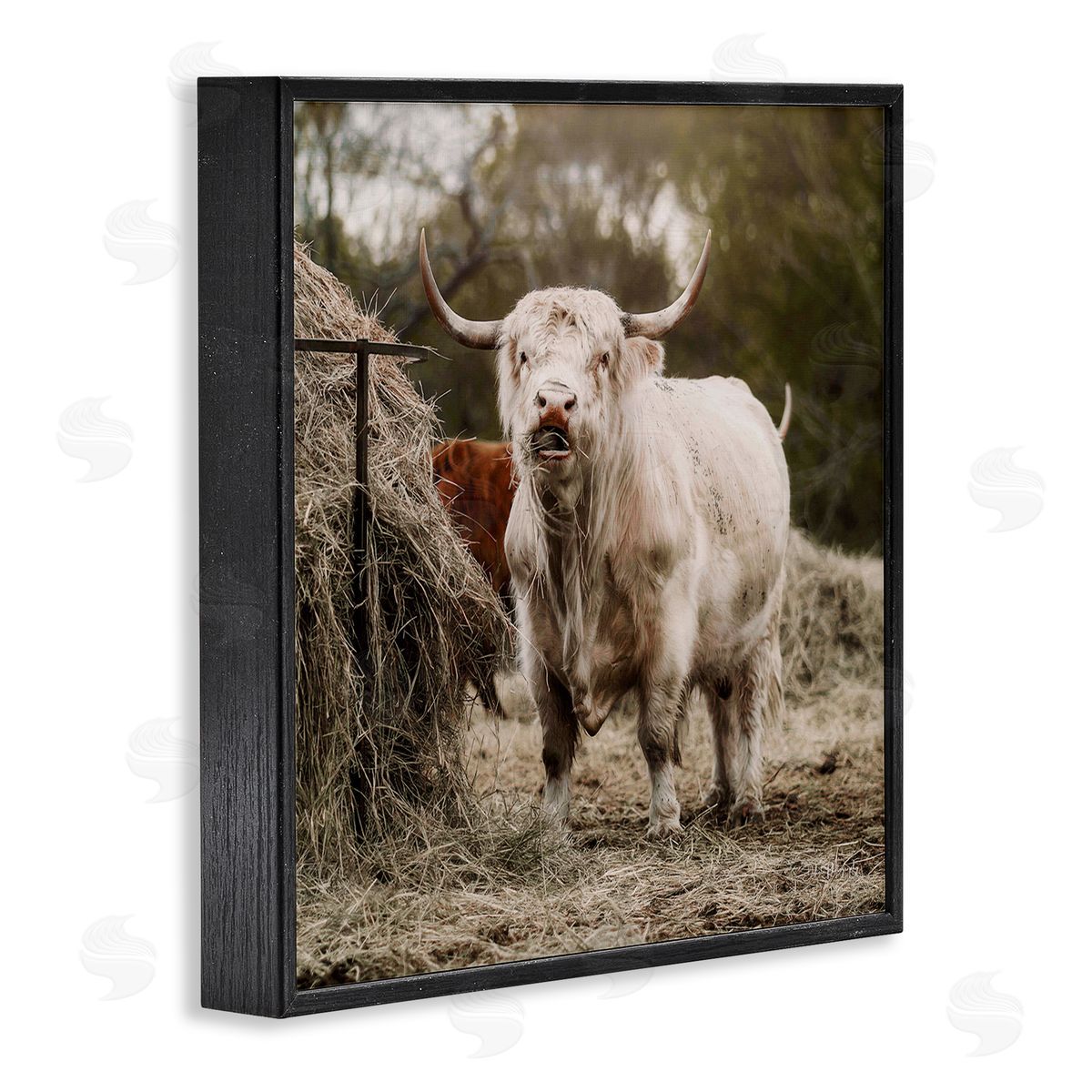 Dakota Diener Grazing Cattle Hay Bale Farm Black Framed Glicee Wall Art Print
