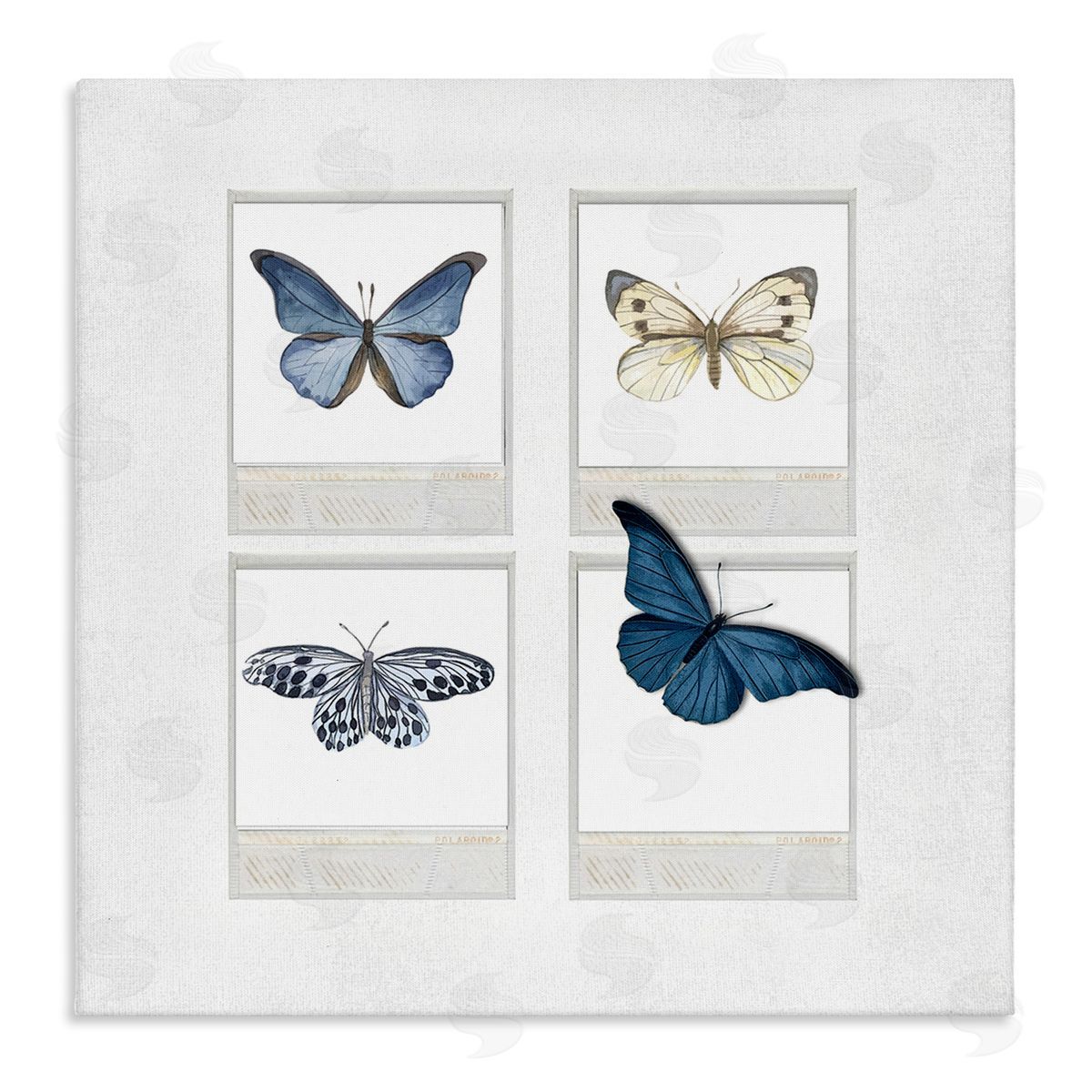 Karen Smith Cottage Retro Film Butterflies Stretched Canvas Wall Art Print