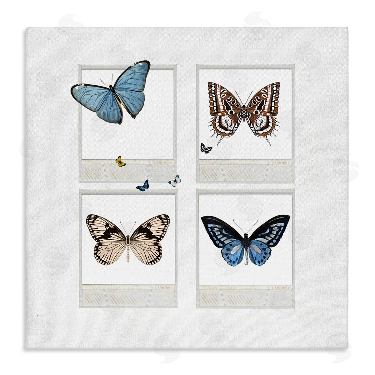 Karen Smith Butterflies Vintage Film Nature Stretched Canvas Wall Art Print