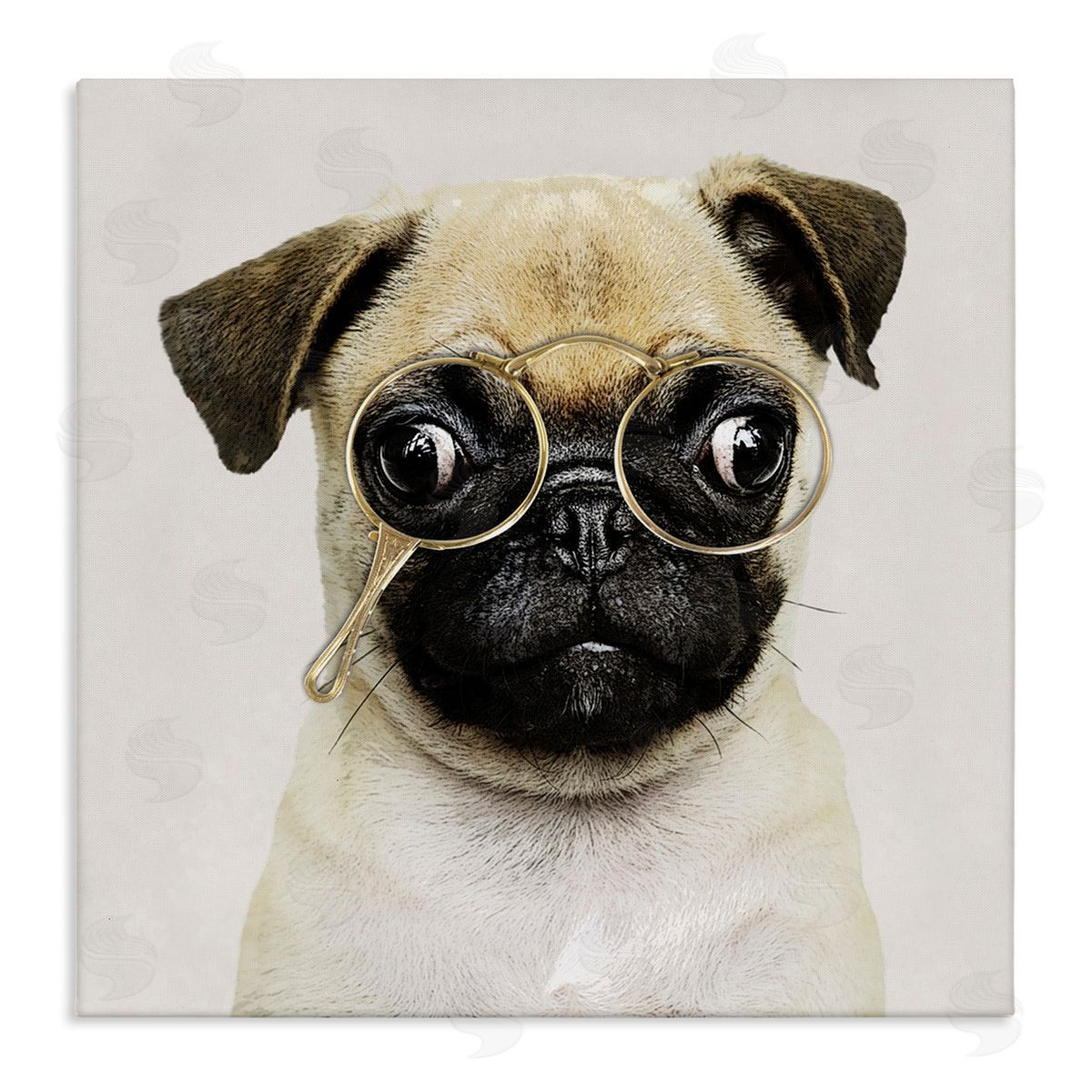 Karen Smith Fun Pug Vintage Glasses  Stretched Canvas Wall Art Print