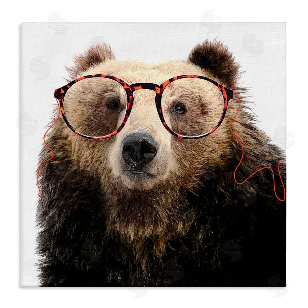 Karen Smith Funny Grizzly Bear Wearing Glasses Stretched Canvas Wall Art Print