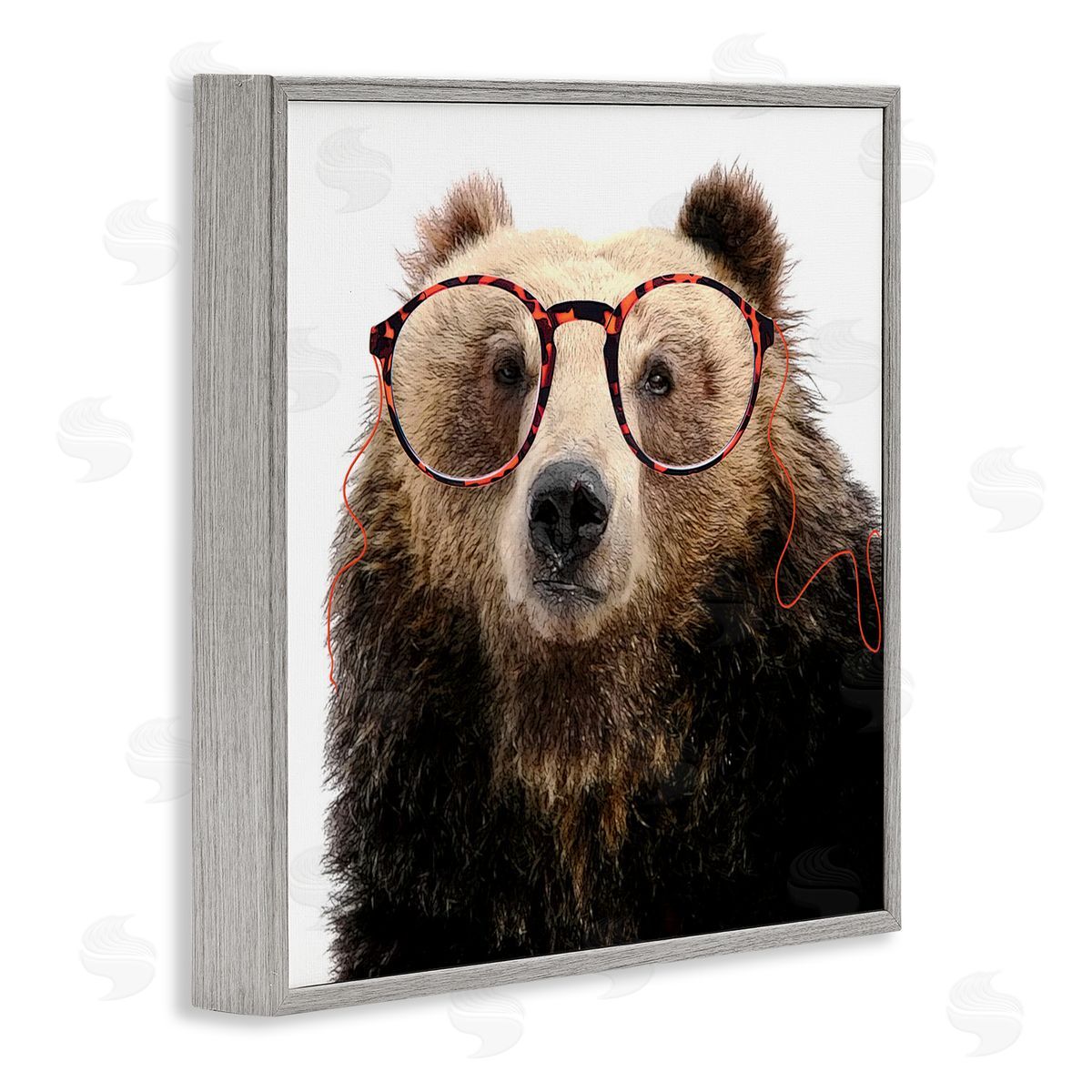 Karen Smith Funny Grizzly Bear Wearing Glasses Gray Framed Glicee Wall Art Print