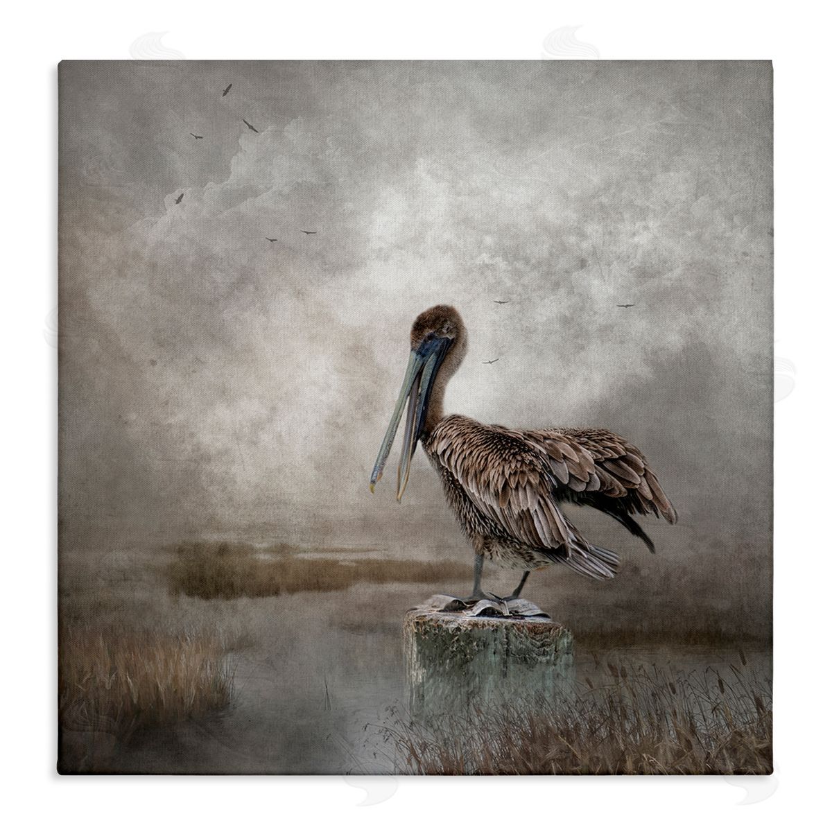 Kelley Parker Pelican Bird Waterside Marsh Stretched Canvas Wall Art Print