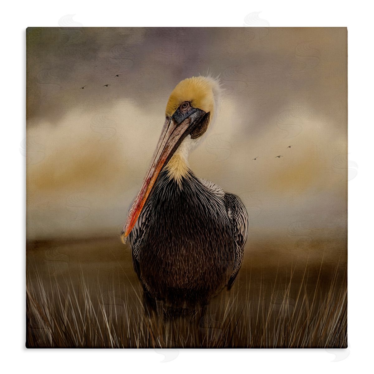 Kelley Parker Pelican Cloudy Nature Sky Wildlife Stretched Canvas Wall Art Print