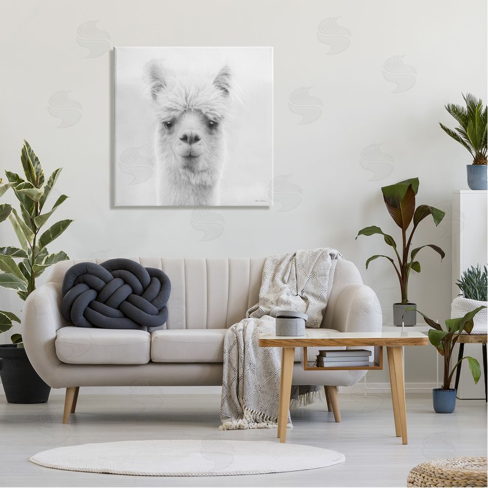 Lori Deiter Alpaca Portrait Country Farm Animal Canvas Wall Art in Room