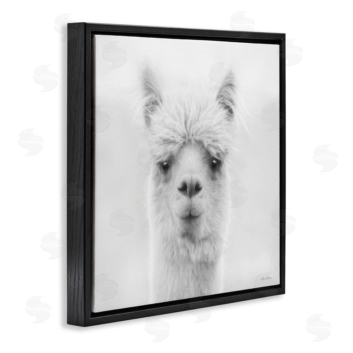 Lori Deiter Alpaca Portrait Country Farm Animal Black Floating Frame Canvas Wall Art Print