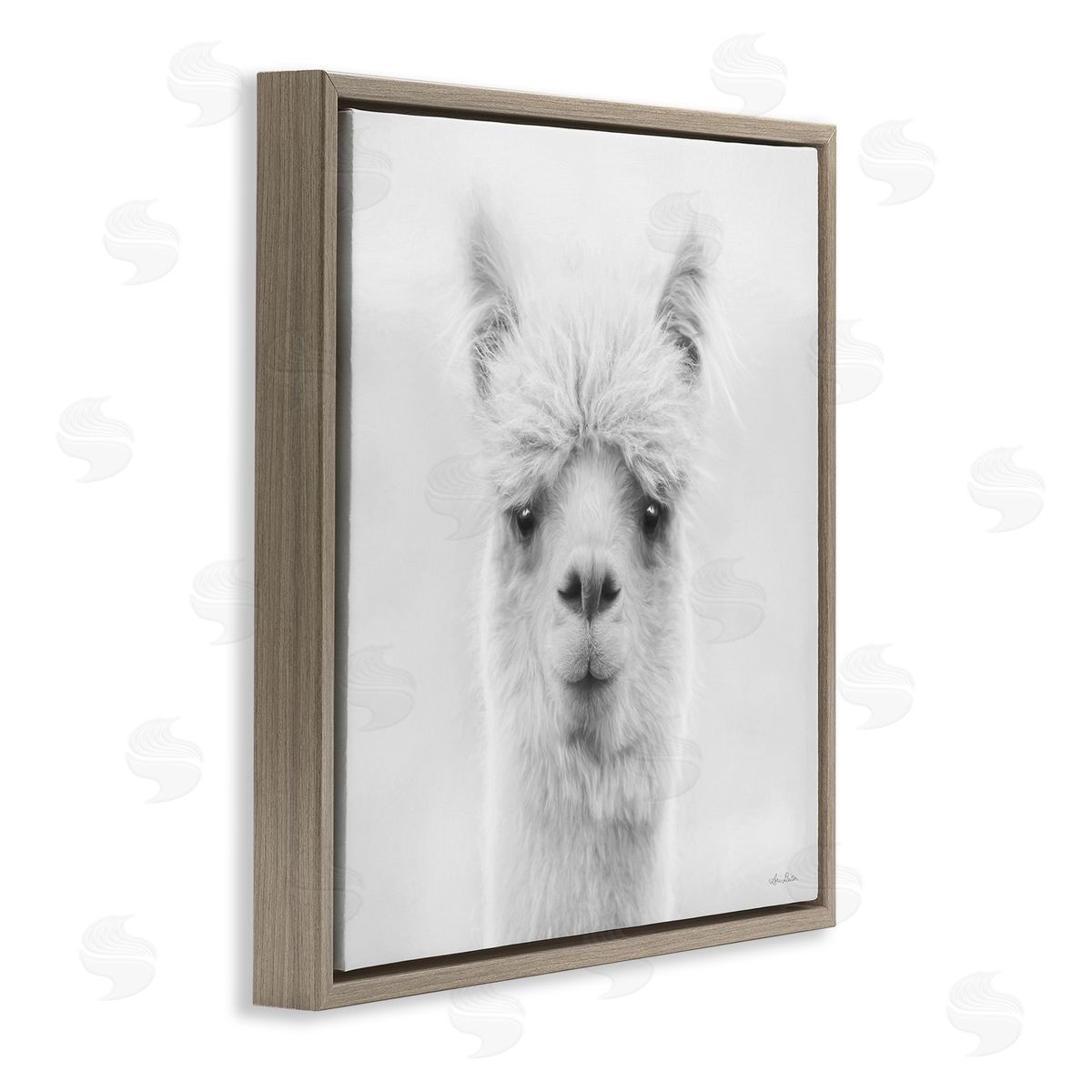 Lori Deiter Alpaca Portrait Country Farm Animal Brown Floating Frame Canvas Wall Art Print