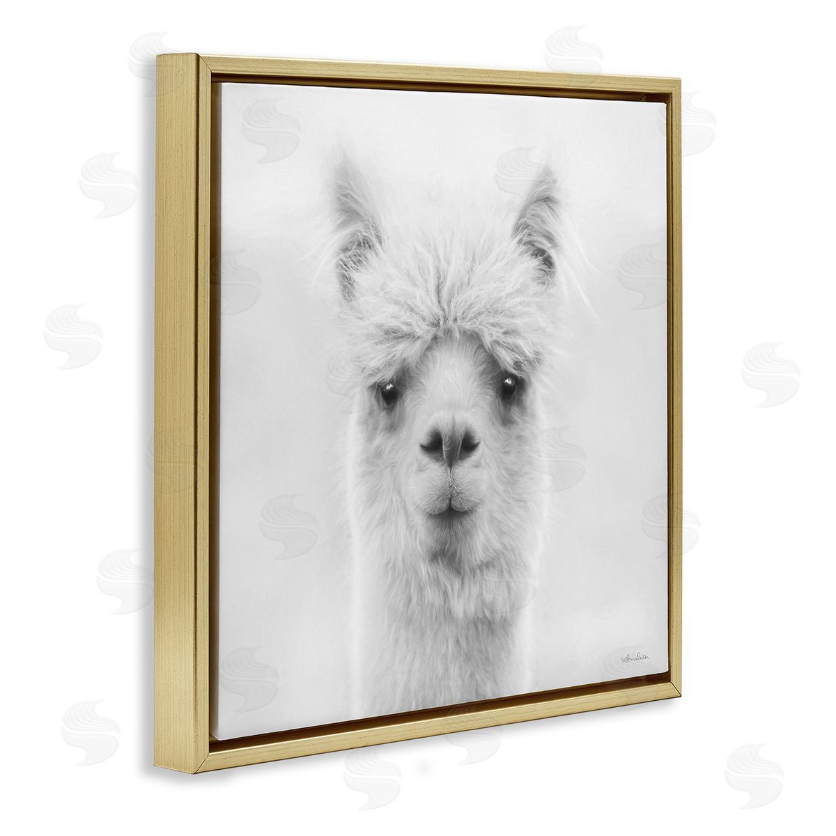 Lori Deiter Alpaca Portrait Country Farm Animal Gold Floating Frame Canvas Wall Art Print