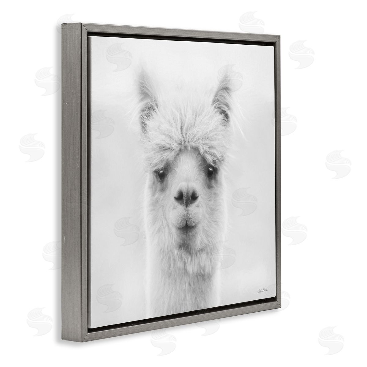 Lori Deiter Alpaca Portrait Country Farm Animal Gray Floating Frame Canvas Wall Art Print