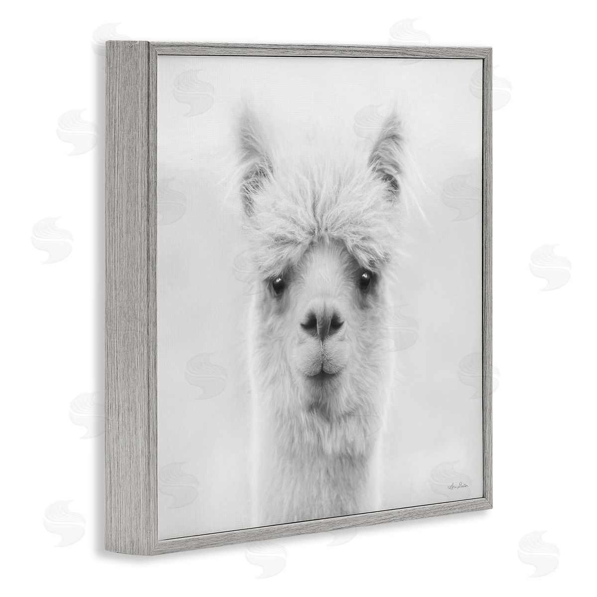 Lori Deiter Alpaca Portrait Country Farm Animal Gray Framed Glicee Wall Art Print