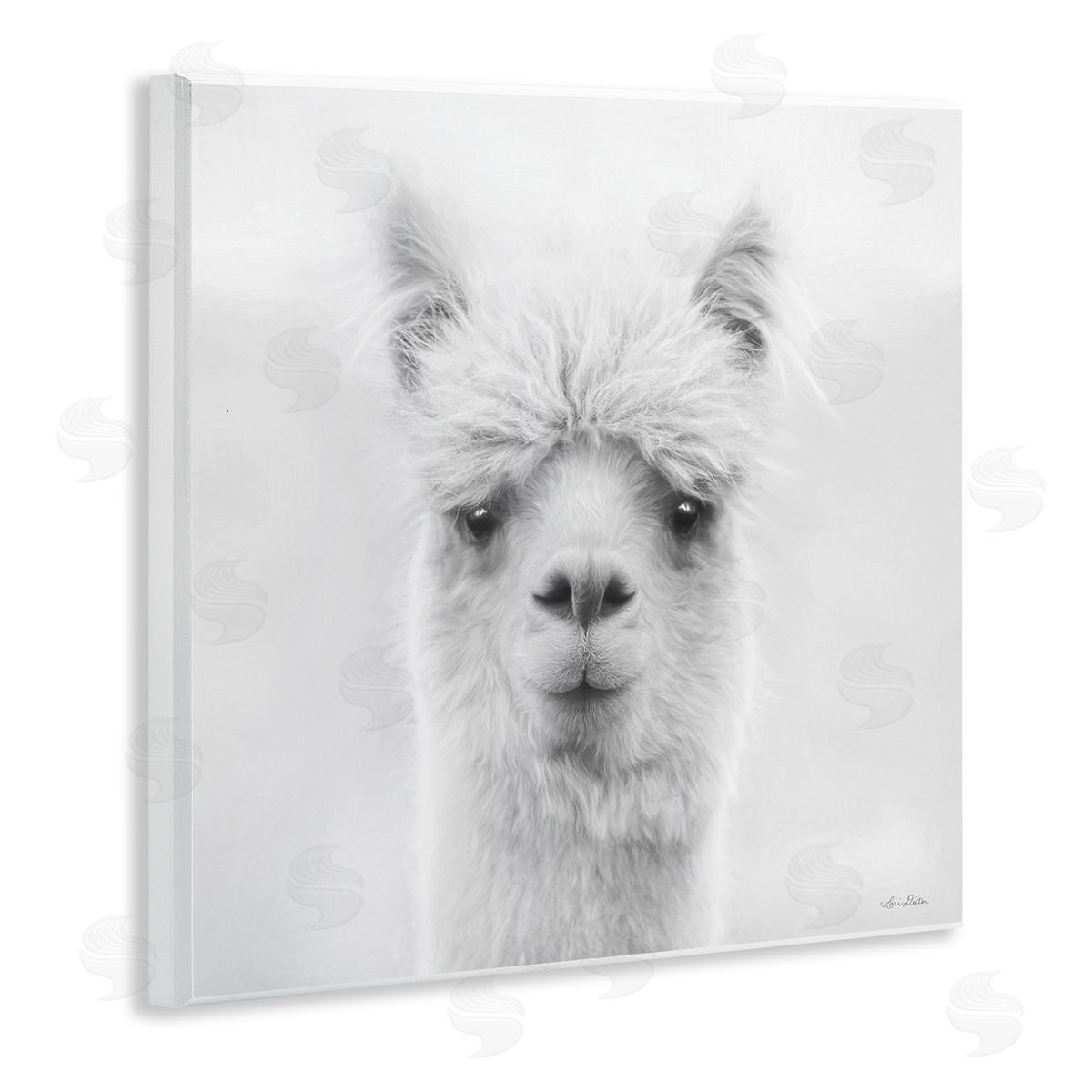 Lori Deiter Alpaca Portrait Country Farm Animal Wooden Wall Plaque Art Print