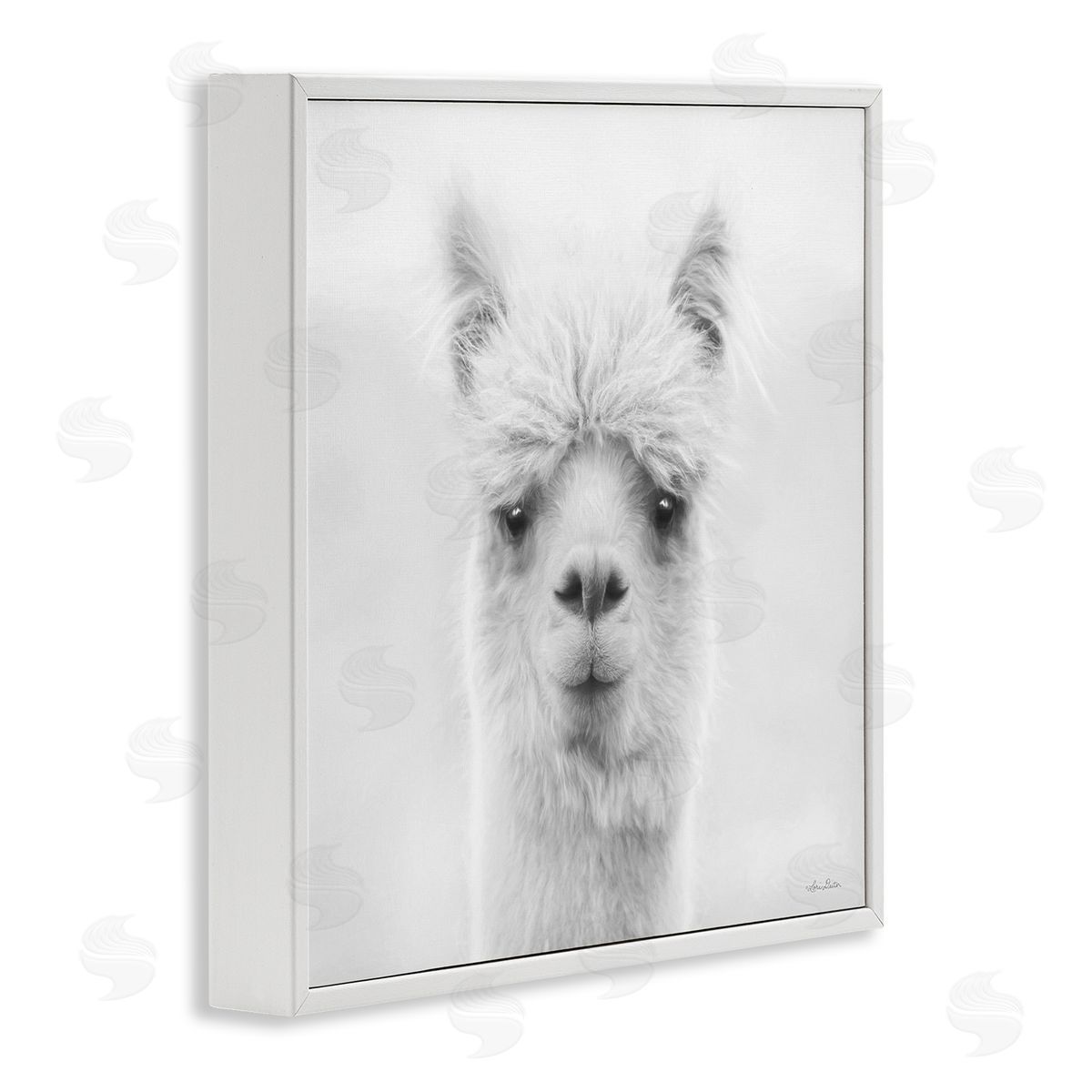 Lori Deiter Alpaca Portrait Country Farm Animal White Framed Glicee Wall Art Print