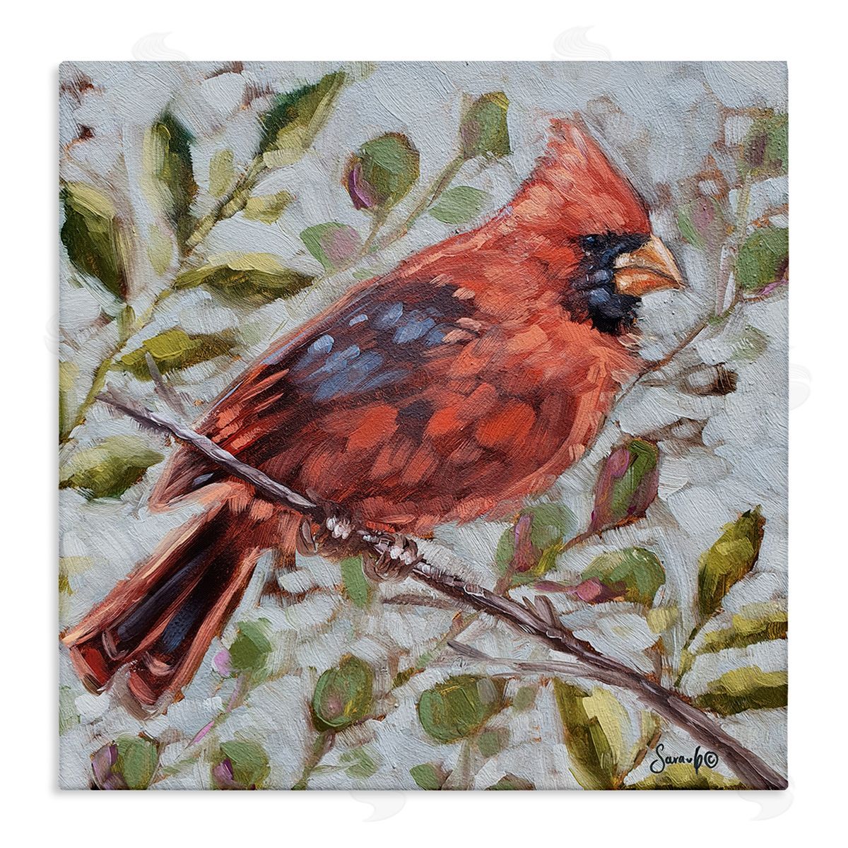 Sara G. Designs Cardinal Tree Branch Nature Stretched Canvas Wall Art Print