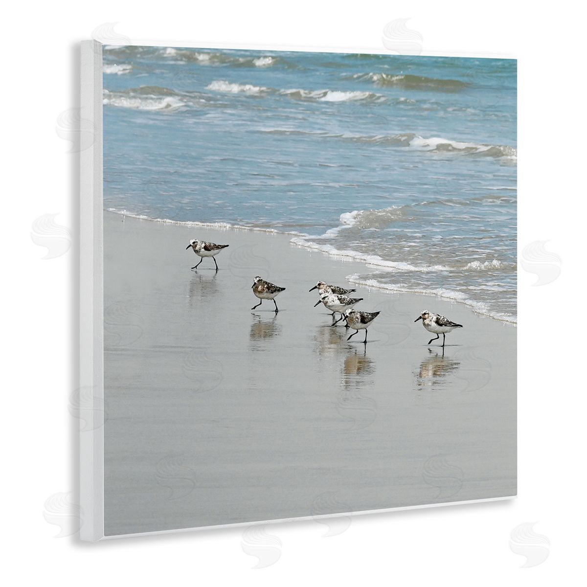 Sandpipers on Shore Reflection Wood Plaque Wall Art, Home Decor by Natalie Carpentieri