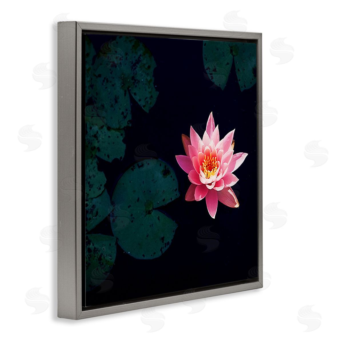 Jessica Manelis Pink Lotus Pond Lily Flower Gray Floating Frame Canvas Wall Art Print