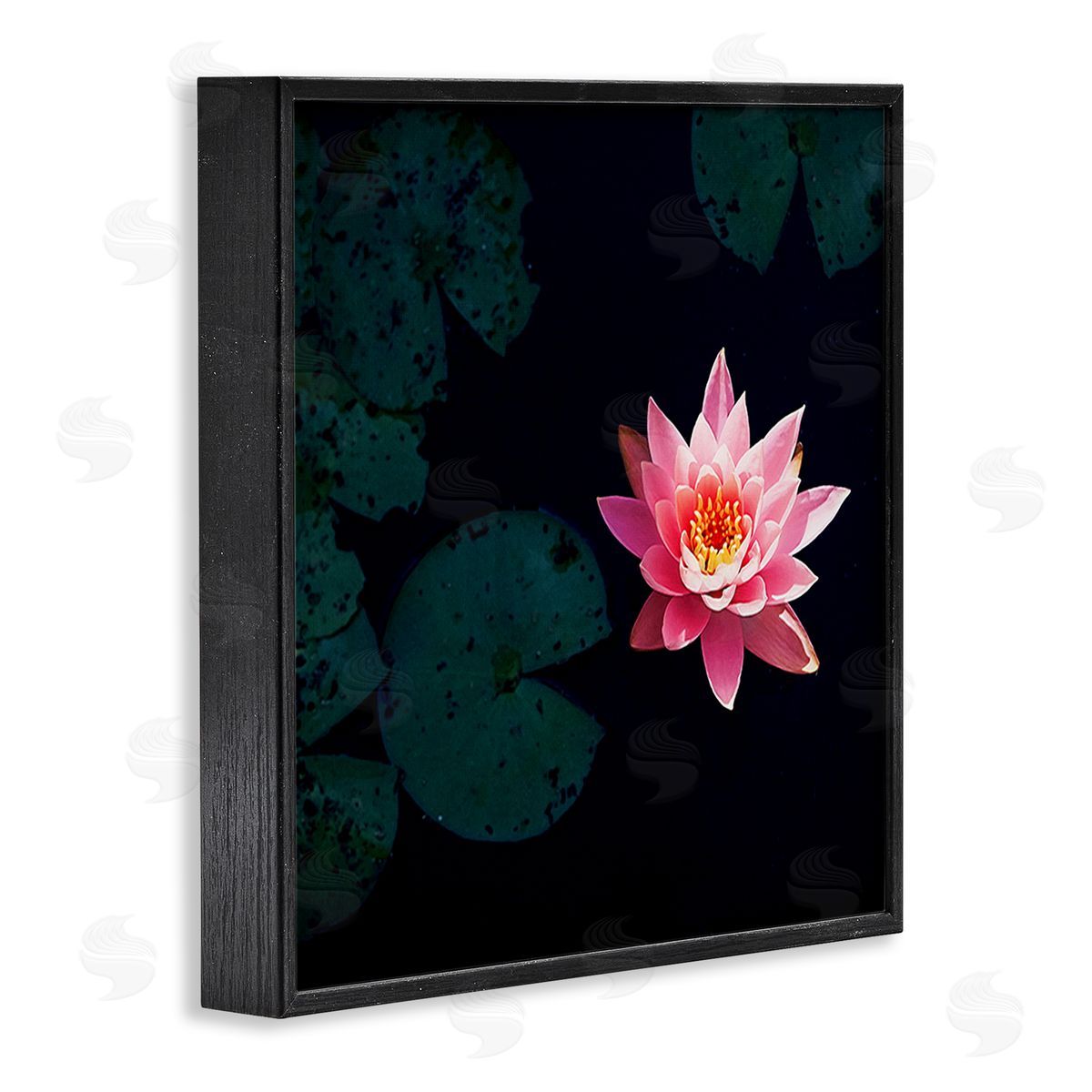 Jessica Manelis Pink Lotus Pond Lily Flower Black Framed Glicee Wall Art Print