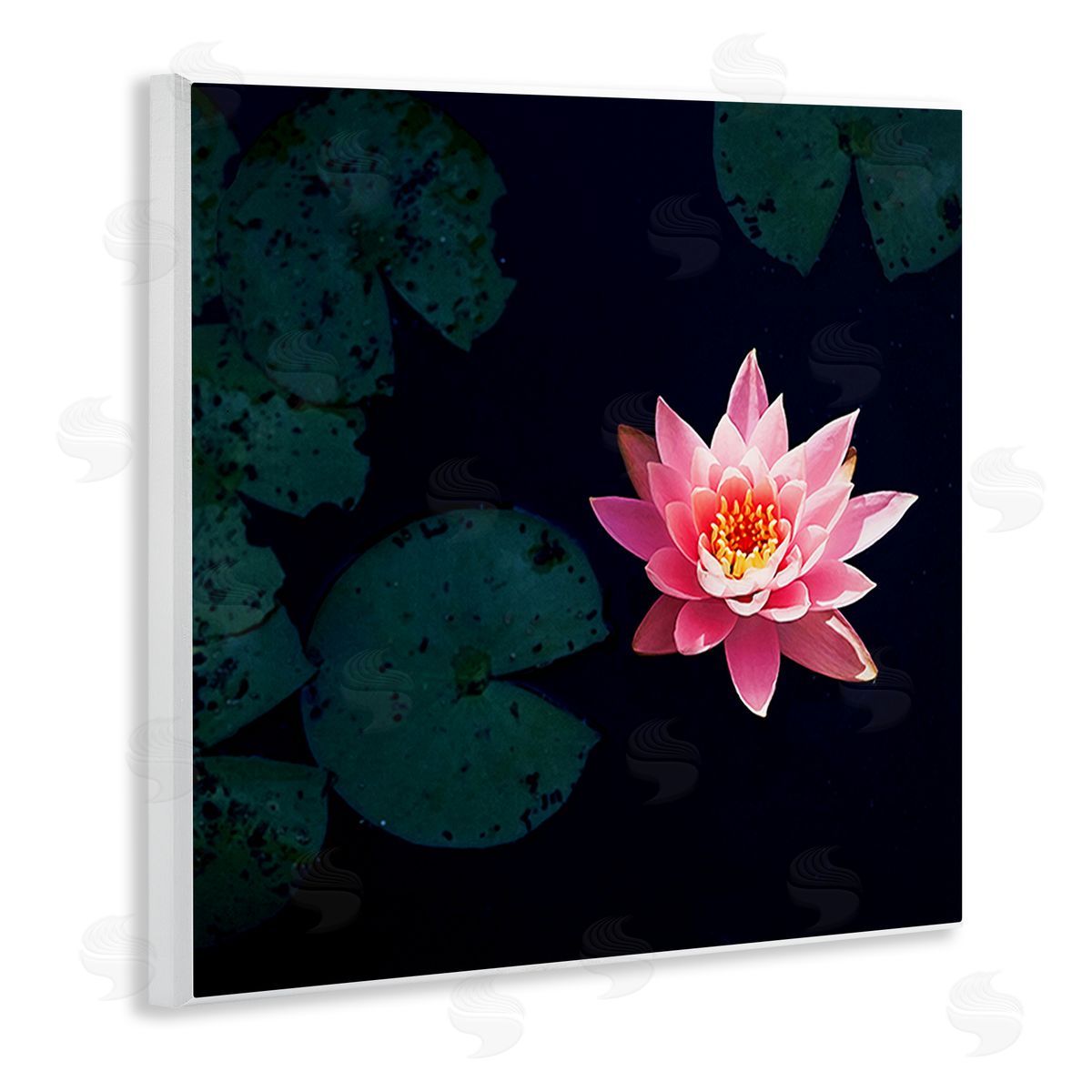 Jessica Manelis Pink Lotus Pond Lily Flower Wooden Wall Plaque Art Print