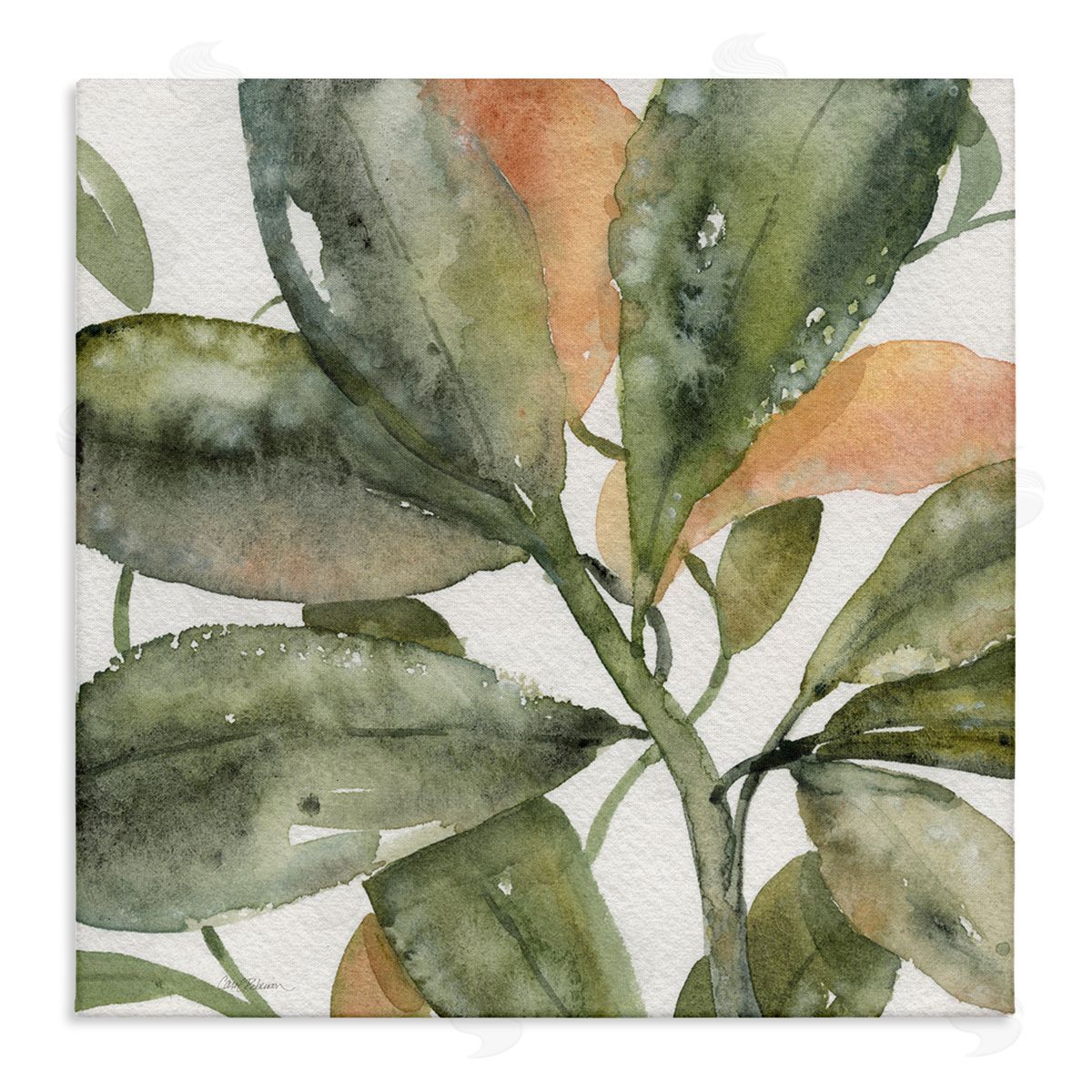 Carol Robinson Bird Of Paradise Plant Leaves Stretched Canvas Wall Art Print