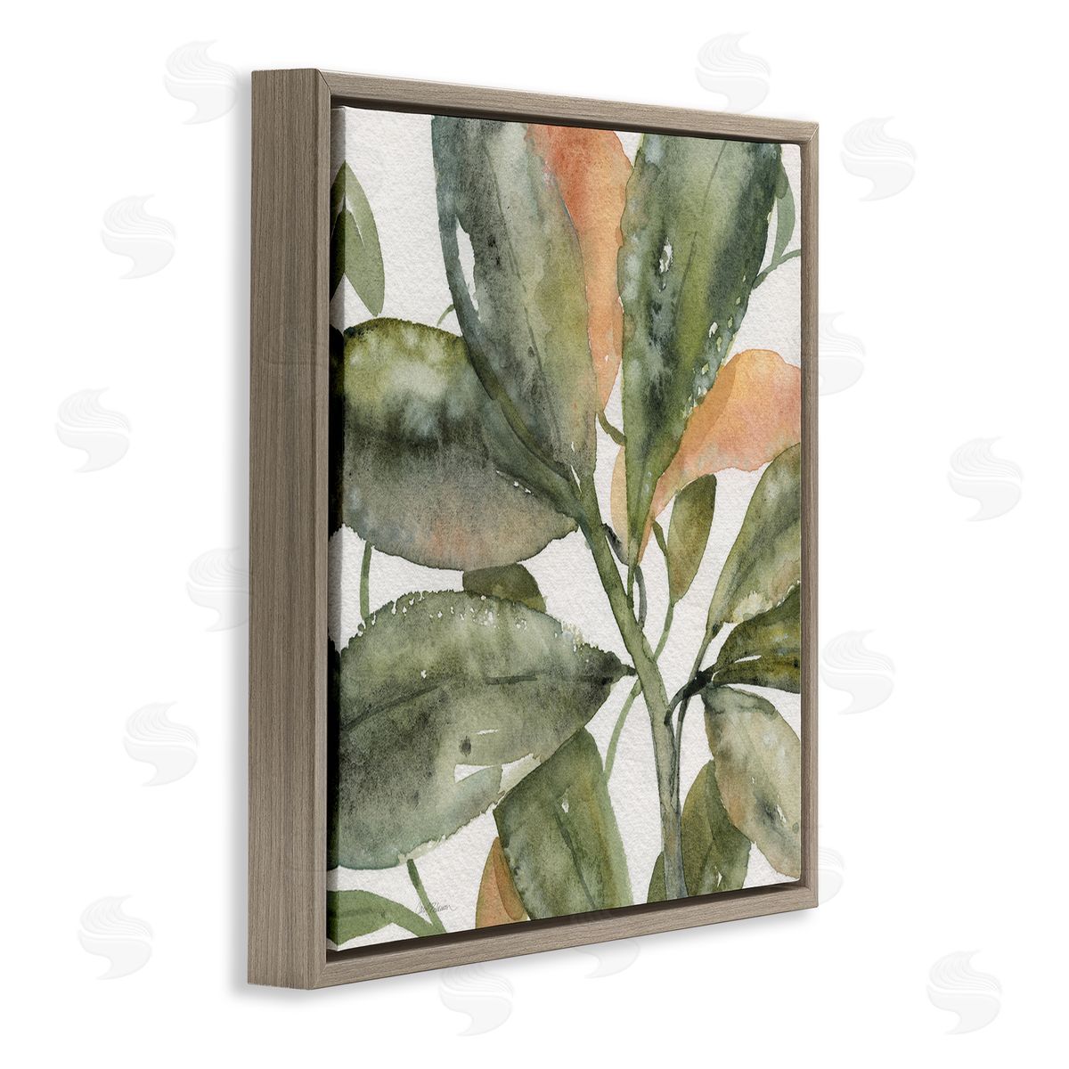 Carol Robinson Bird Of Paradise Plant Leaves Brown Floating Frame Canvas Wall Art Print
