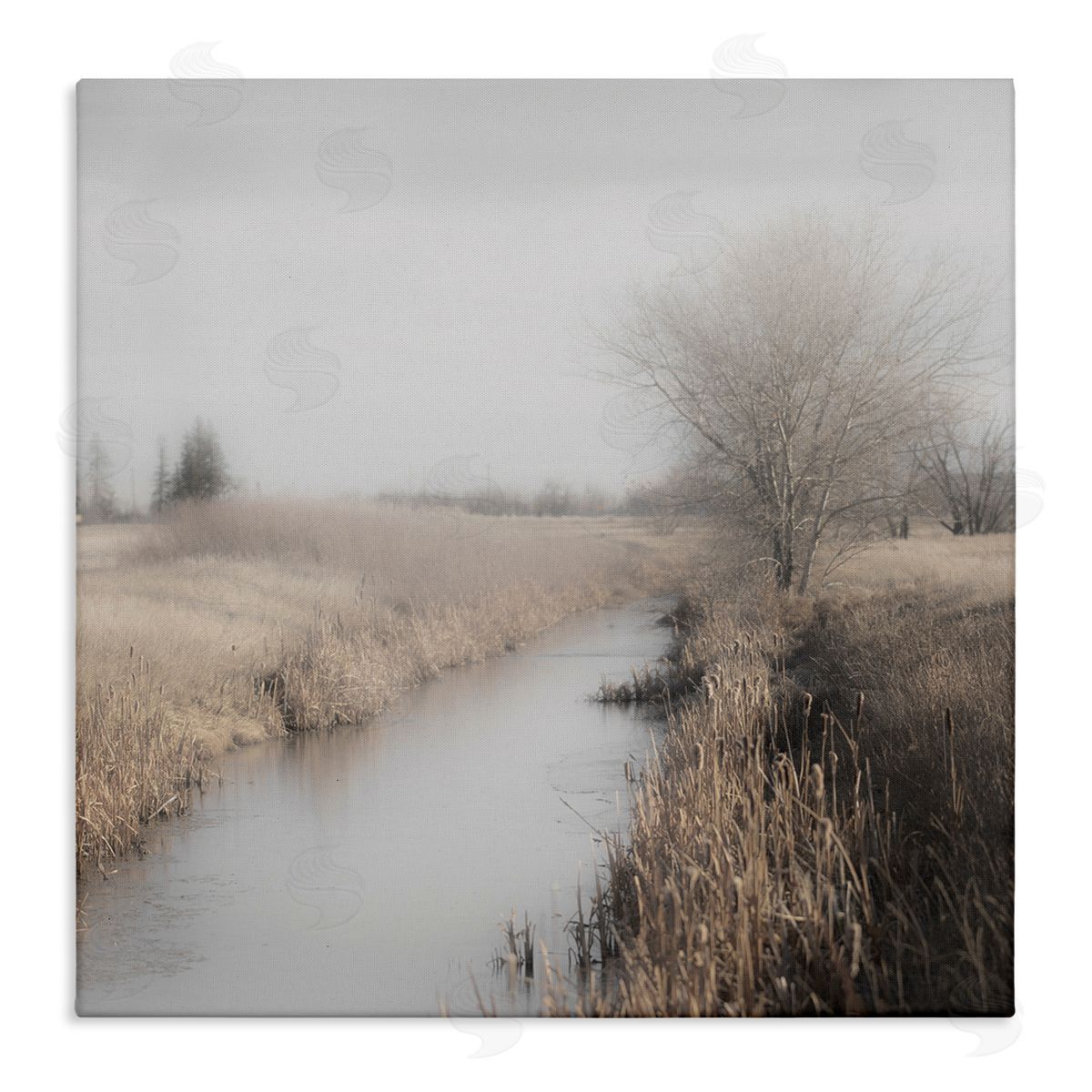 Carol Robinson Quiet Stream Rural Grassland Stretched Canvas Wall Art Print