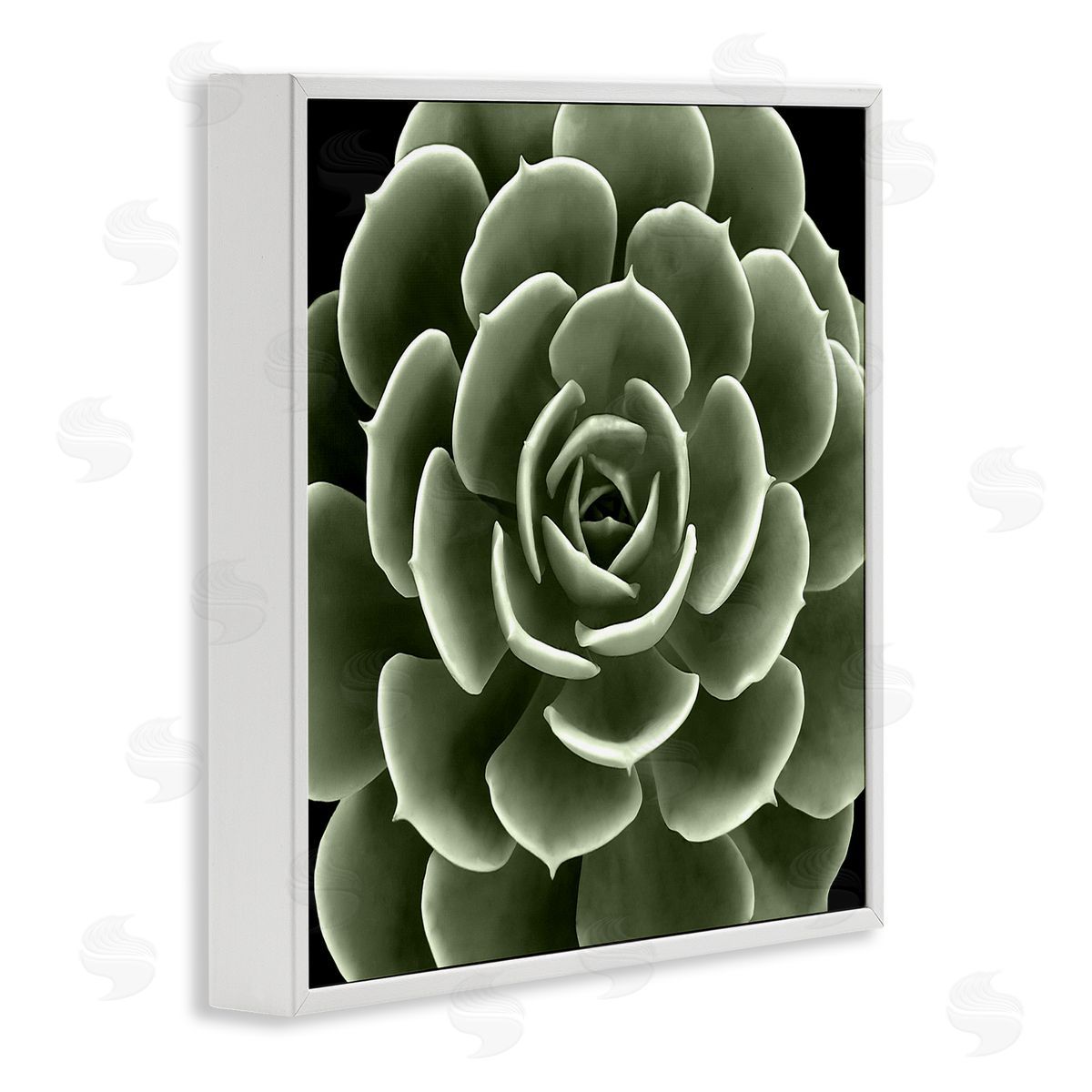 Lindsay Benson Rounded Succulent Leaves Botanical White Framed Glicee Wall Art Print