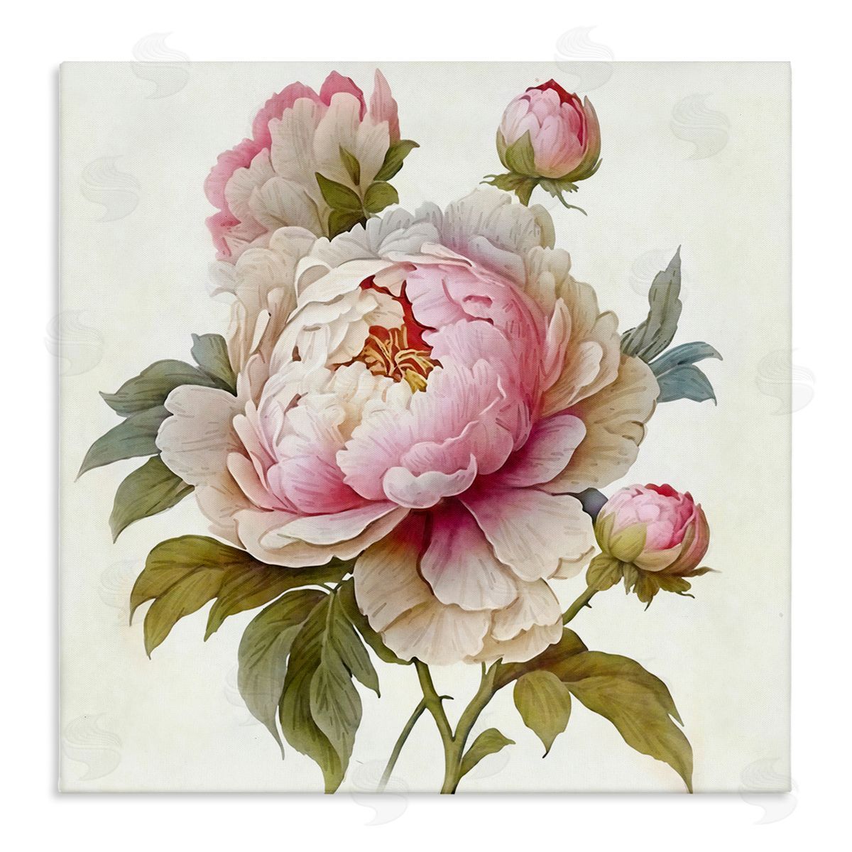 Ziwei Li Detailed Pink Peony Flower Buds Stretched Canvas Wall Art Print