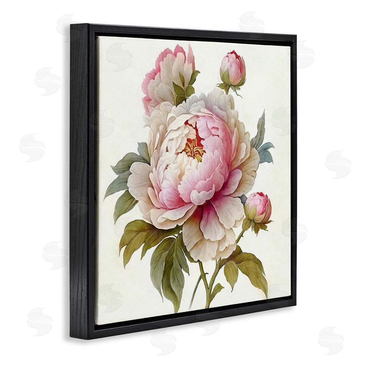 Ziwei Li Detailed Pink Peony Flower Buds Black Floating Frame Canvas Wall Art Print