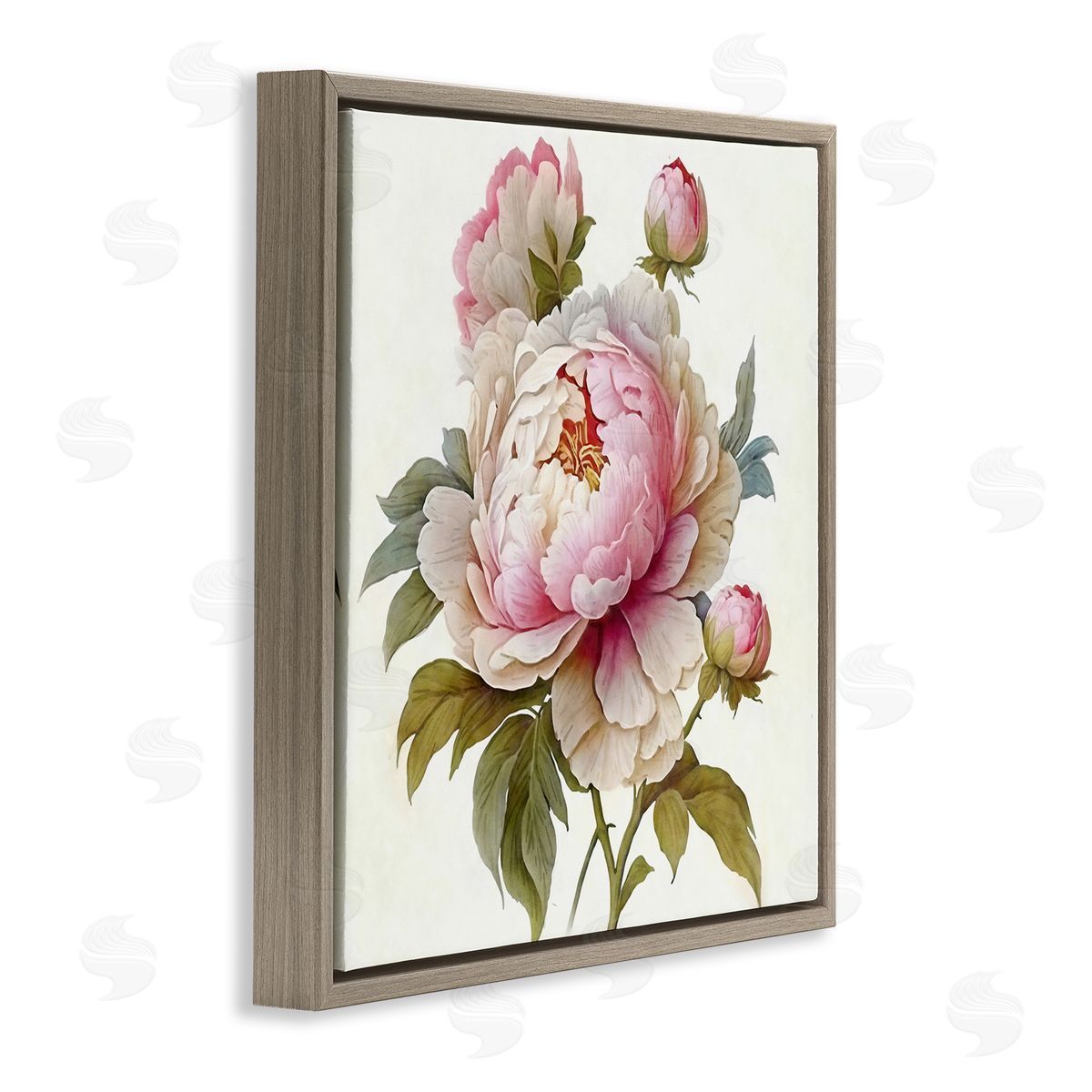 Ziwei Li Detailed Pink Peony Flower Buds Brown Floating Frame Canvas Wall Art Print