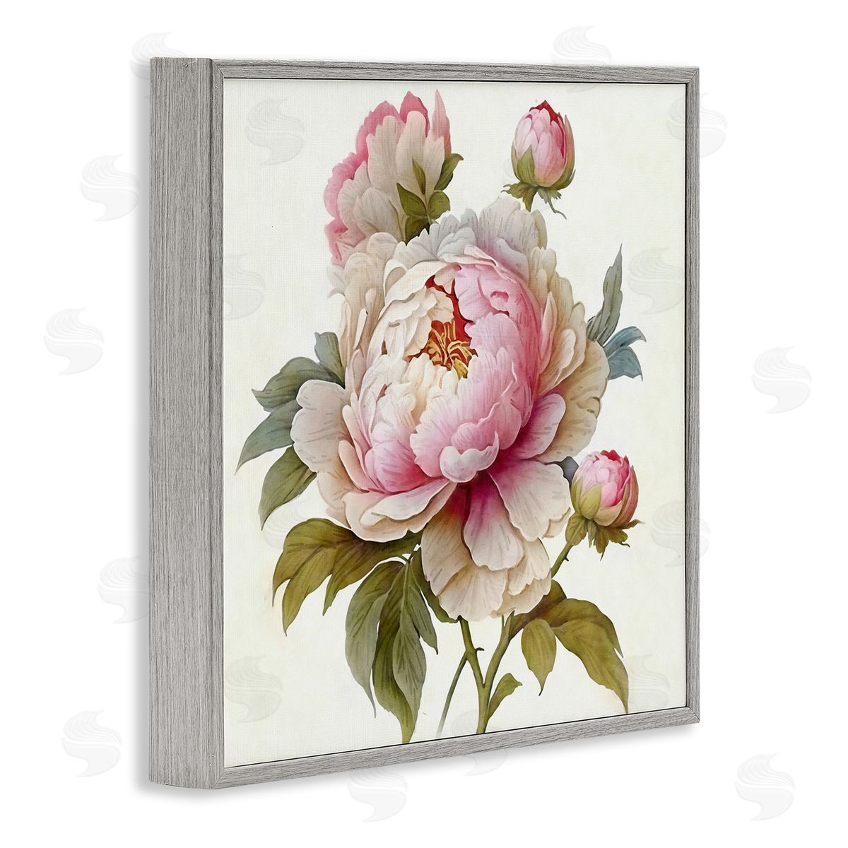 Ziwei Li Detailed Pink Peony Flower Buds Gray Framed Glicee Wall Art Print