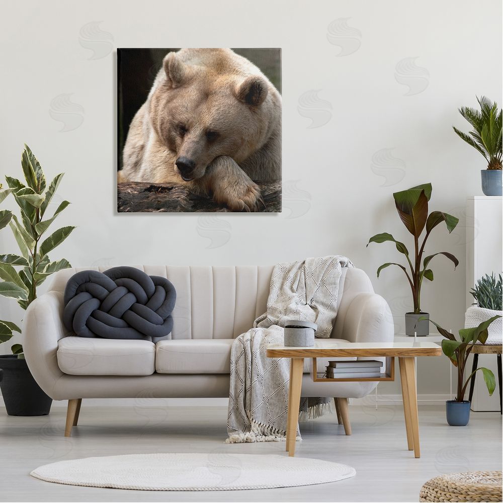 Danita Delimont Brown Bear Forest Wildlife Canvas Wall Art in Room