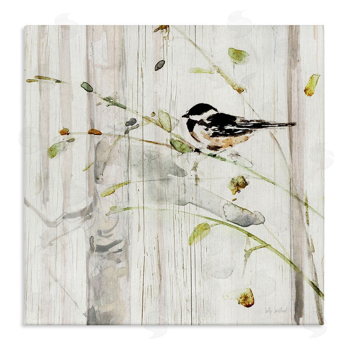 Sally Swatland Cottage Bird Botanical Nature Stretched Canvas Wall Art Print