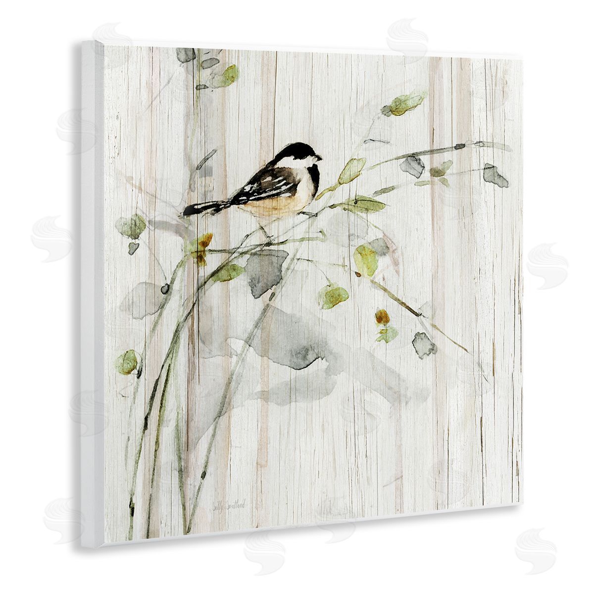 Danita Delimont Bird Perched Birch Pattern Wooden Wall Plaque Art Print