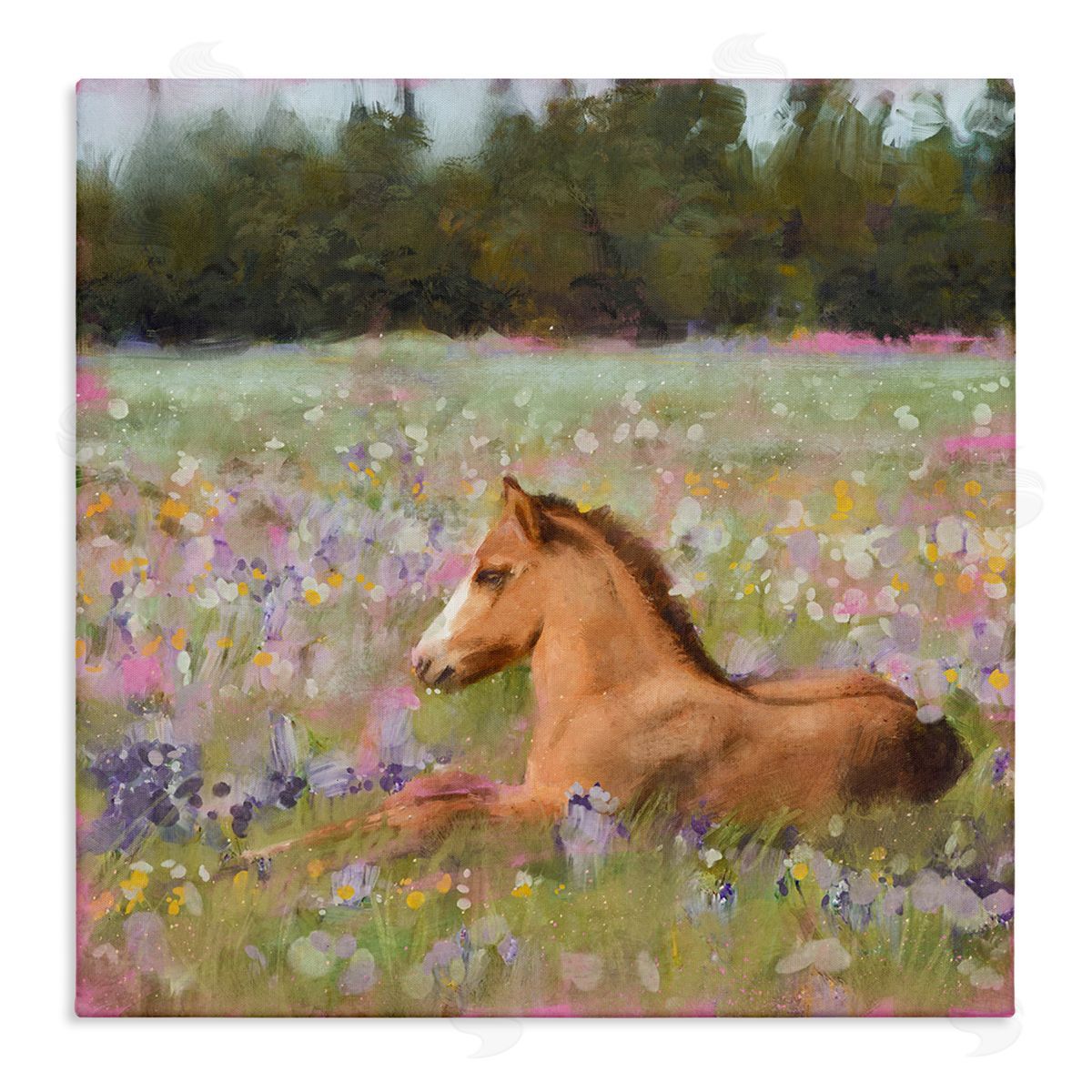 Foal Horse Lounging Flower Meadow Canvas Wall Art, Home Decor by Nina Blue