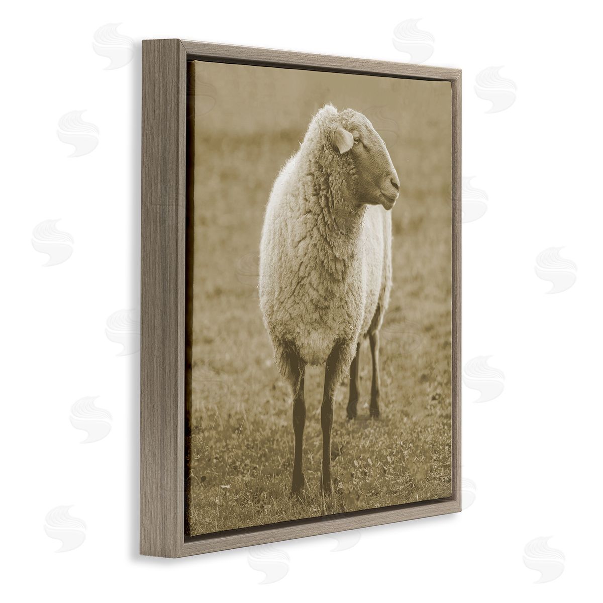 Stupell Studio Sheep Grazing Farmland Photography Brown Floating Frame Canvas Wall Art Print