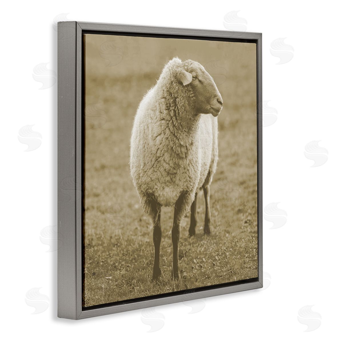 Stupell Studio Sheep Grazing Farmland Photography Gray Floating Frame Canvas Wall Art Print