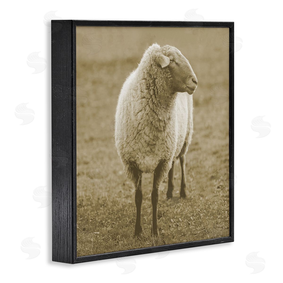 Stupell Studio Sheep Grazing Farmland Photography Black Framed Glicee Wall Art Print