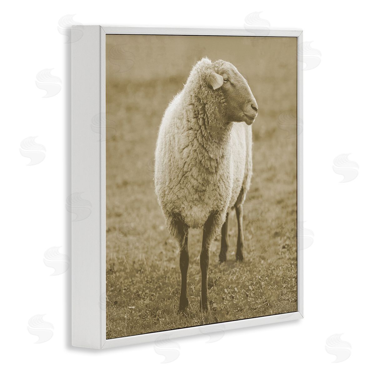 Stupell Studio Sheep Grazing Farmland Photography White Framed Glicee Wall Art Print