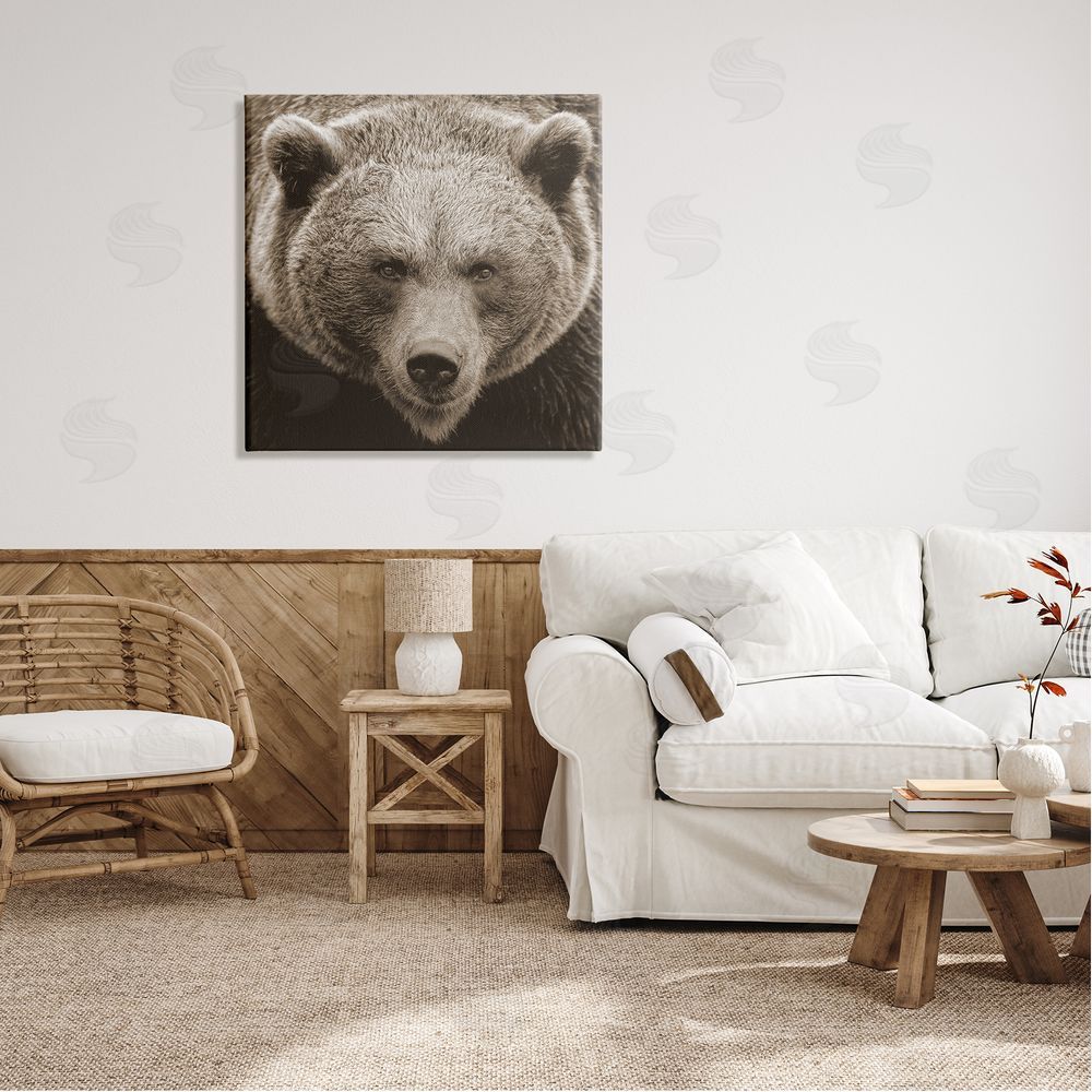 Stupell Studio Brown Bear Wildlife Portrait Canvas Wall Art in Room